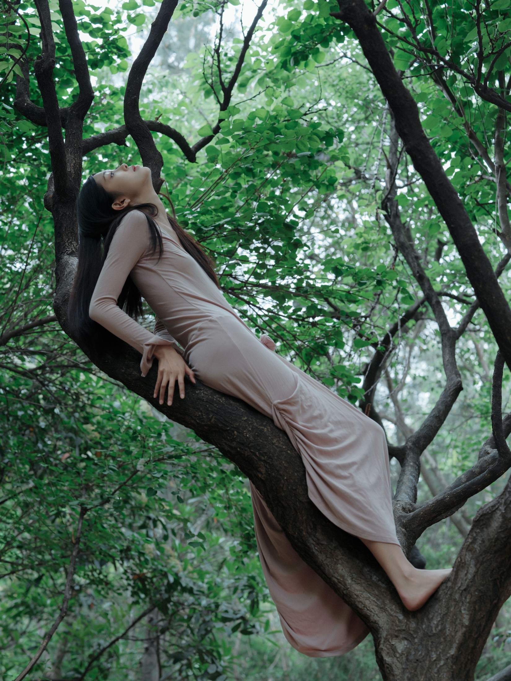 钰清风 – 《葳蕤》[24P]