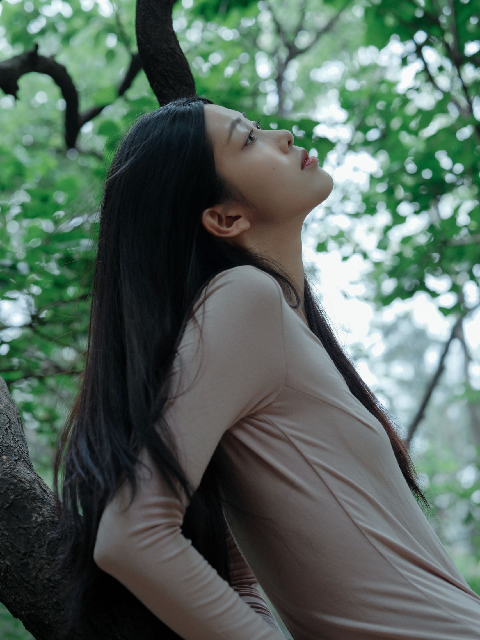 钰清风 – 《葳蕤》[24P]