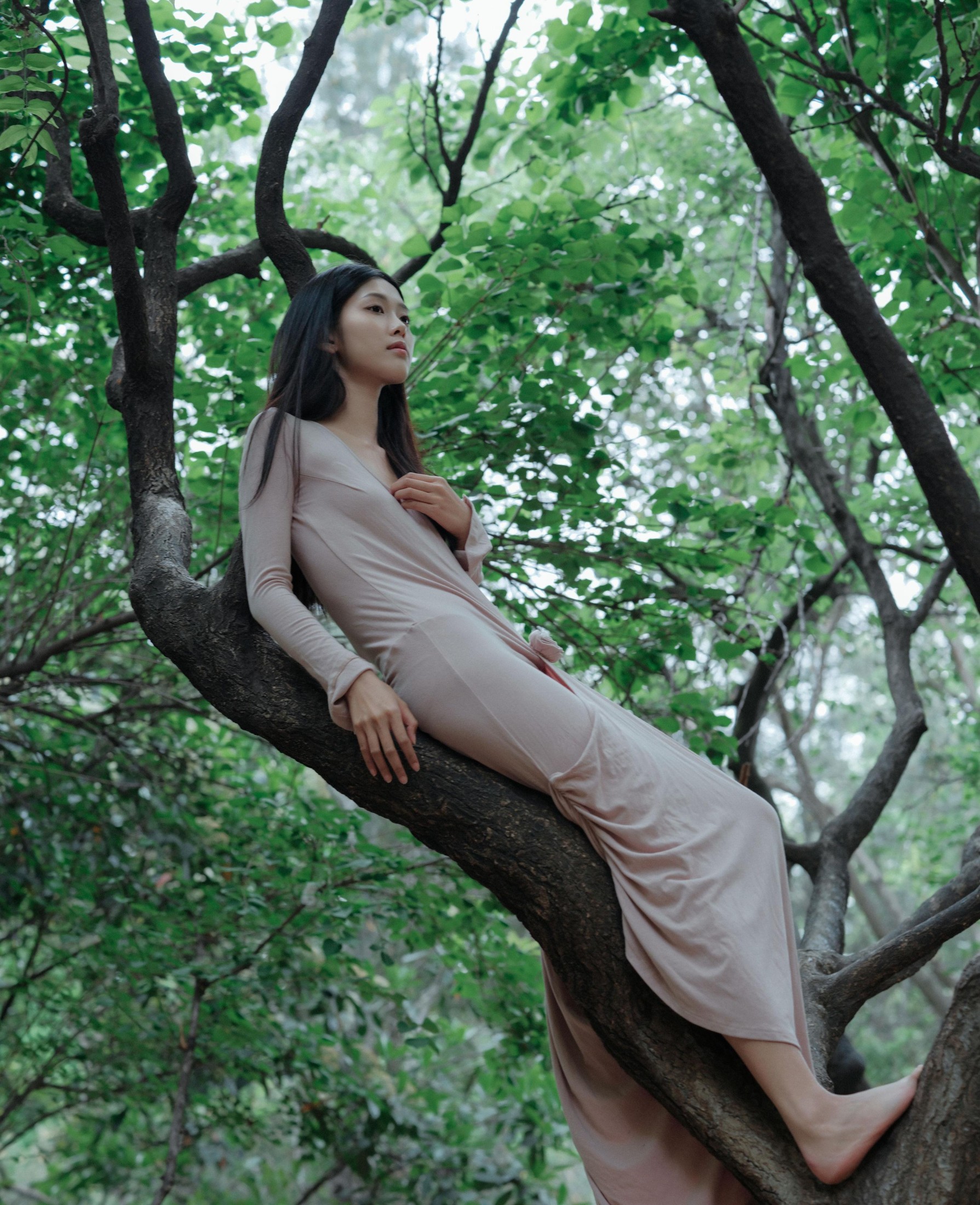 钰清风 – 《葳蕤》[24P]