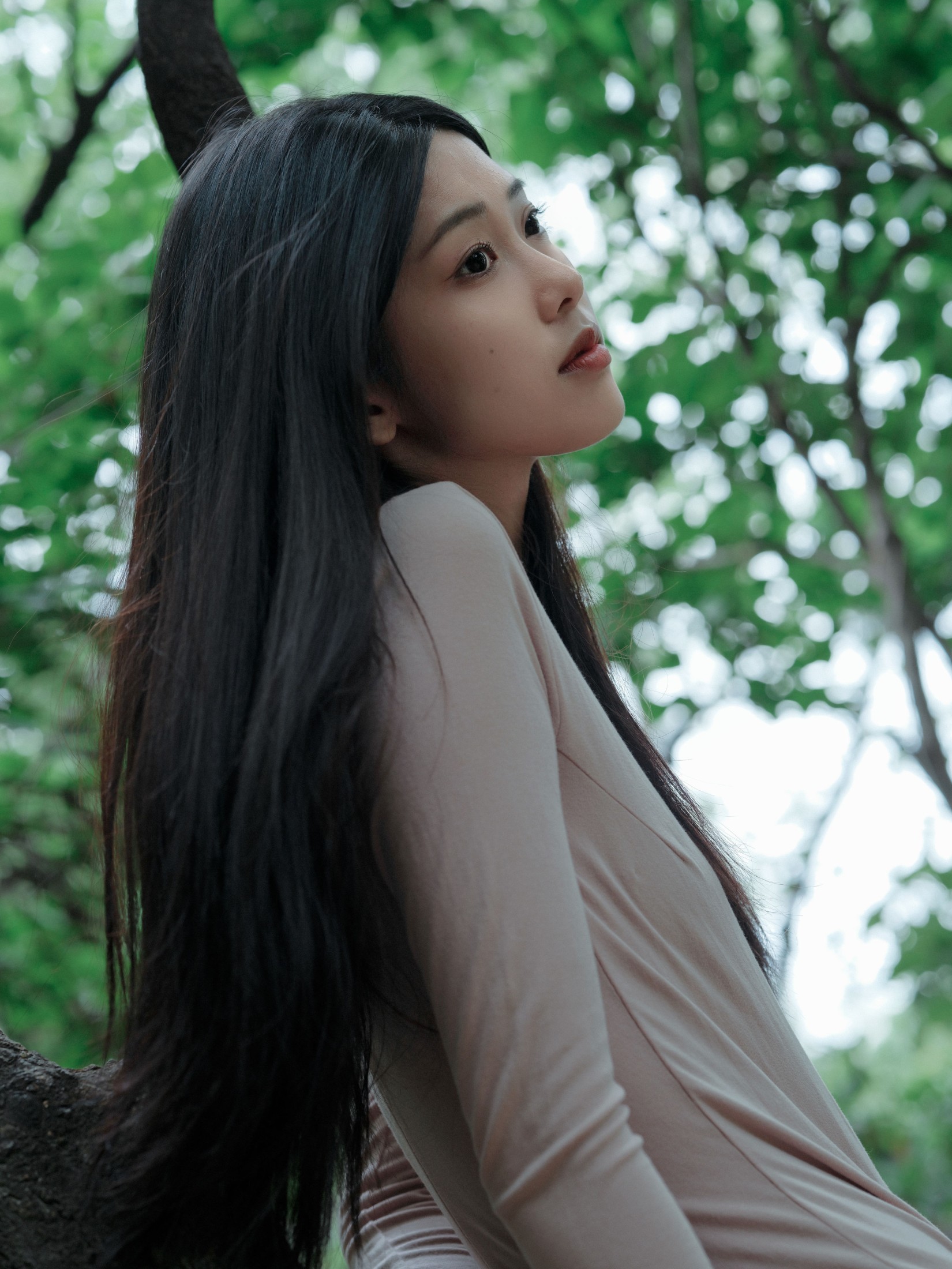 钰清风 – 《葳蕤》[24P]