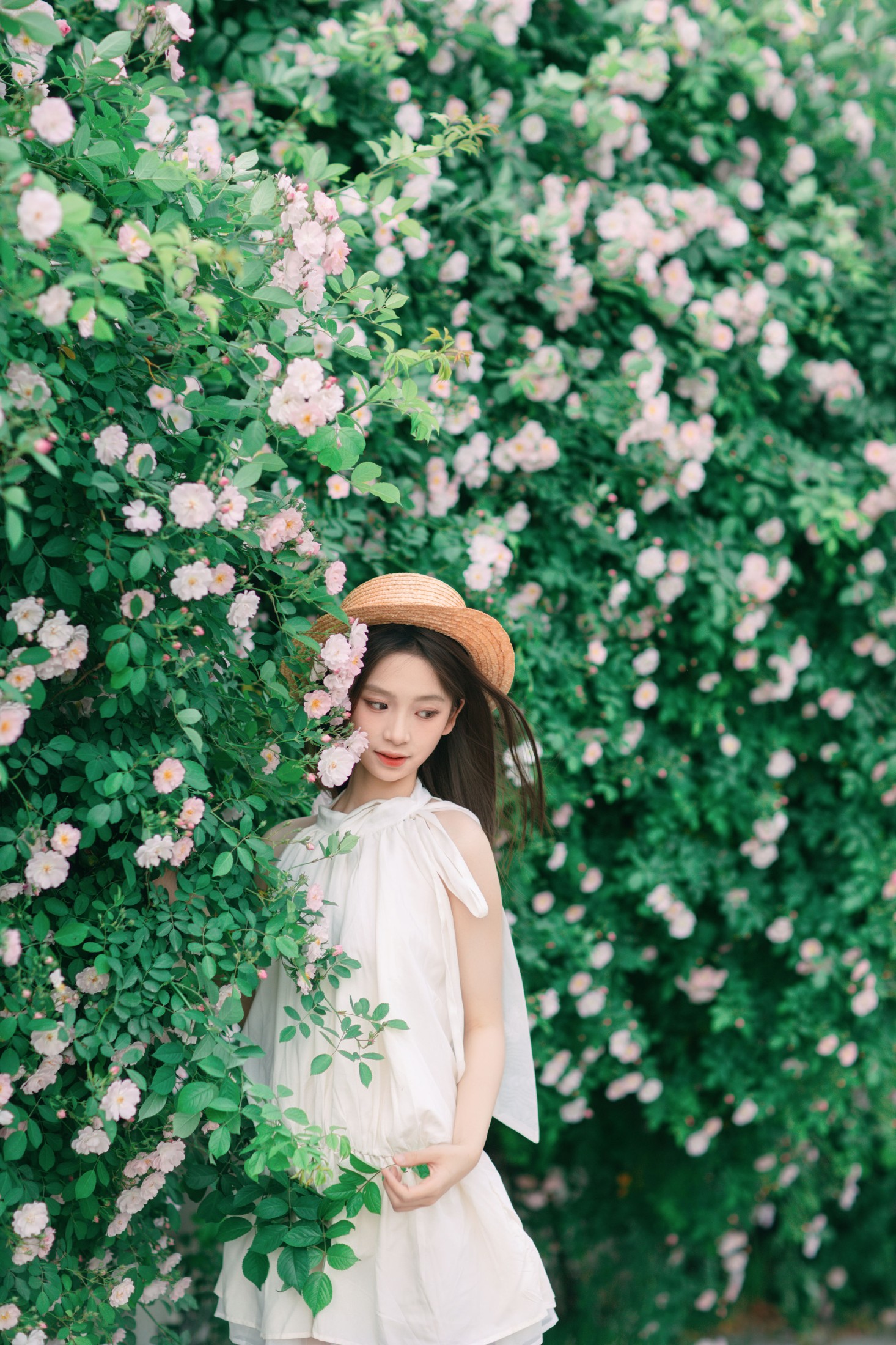 Minejoin – 《4月蔷薇花》[41P]