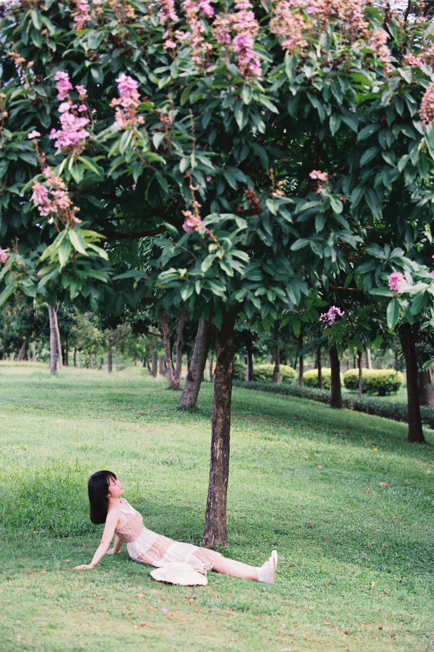 四月岛雯 – 《夏天的草地》[30P]