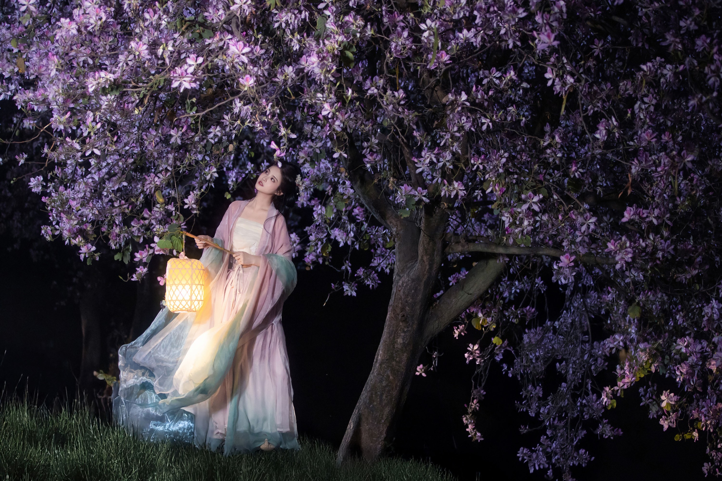 三也酱酱 – 《挽星灯》[21P]