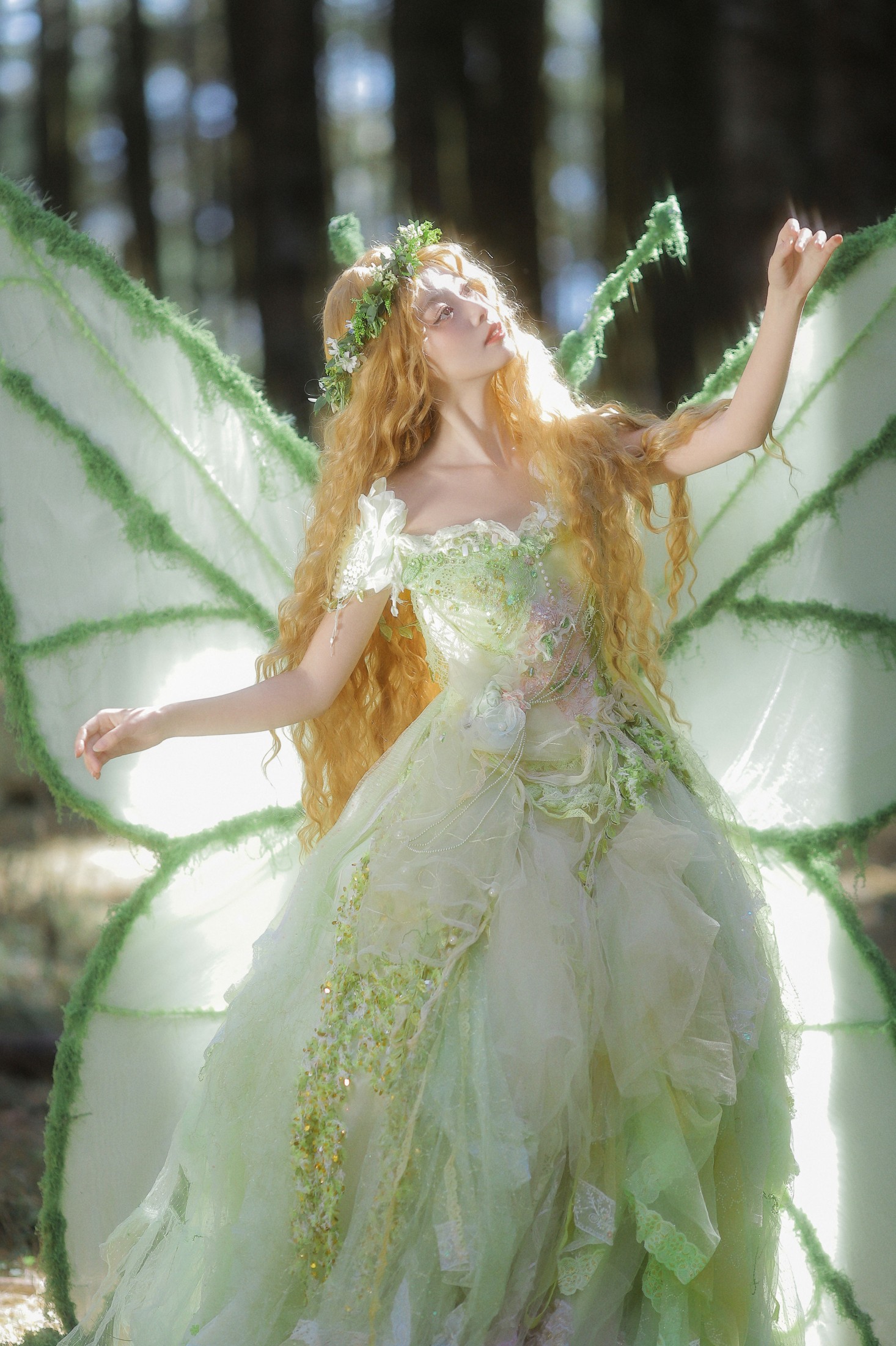 鹿离 – 《破茧成蝶》[23P]