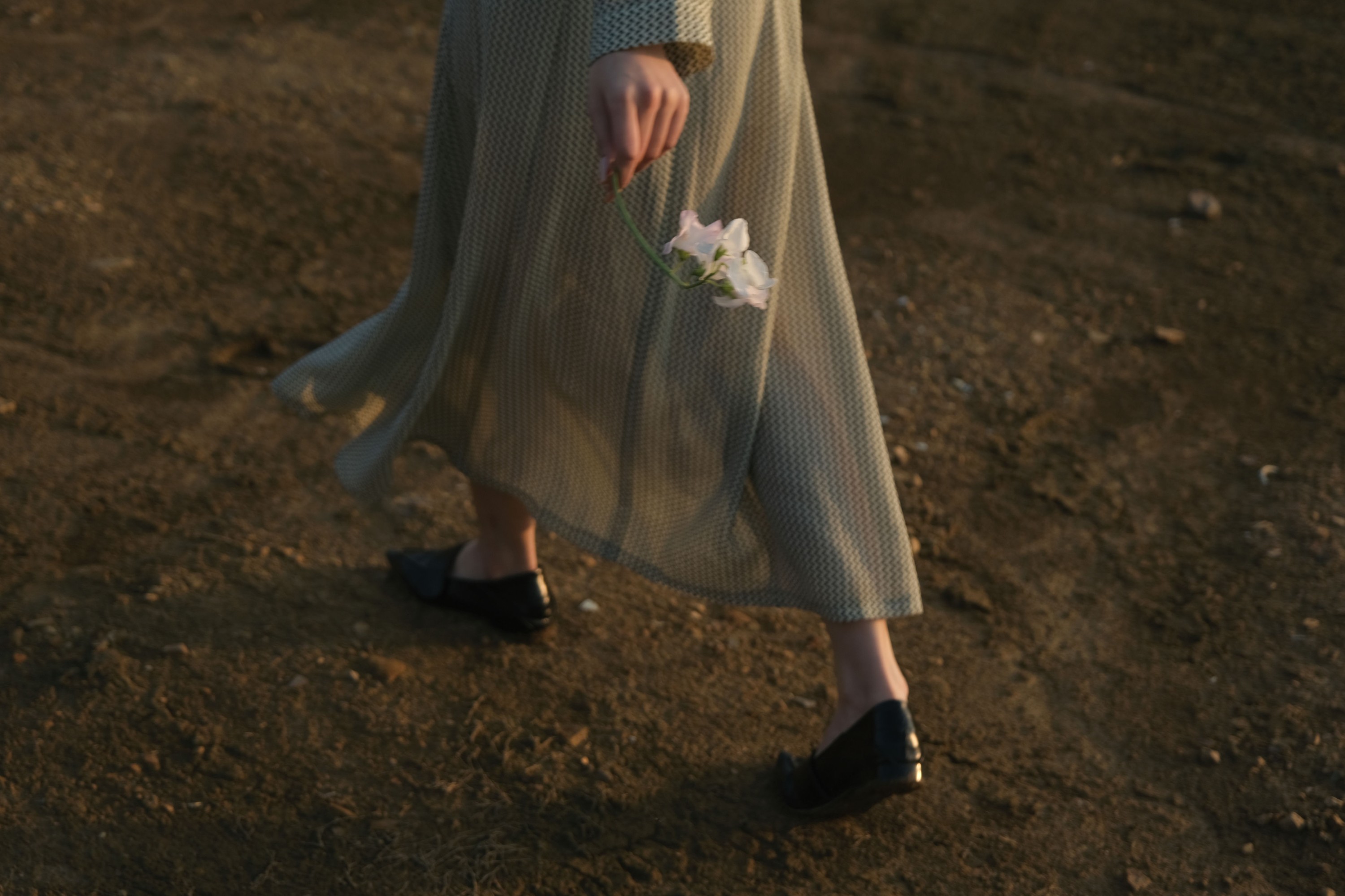 14 – 《夕阳西下》[13P]