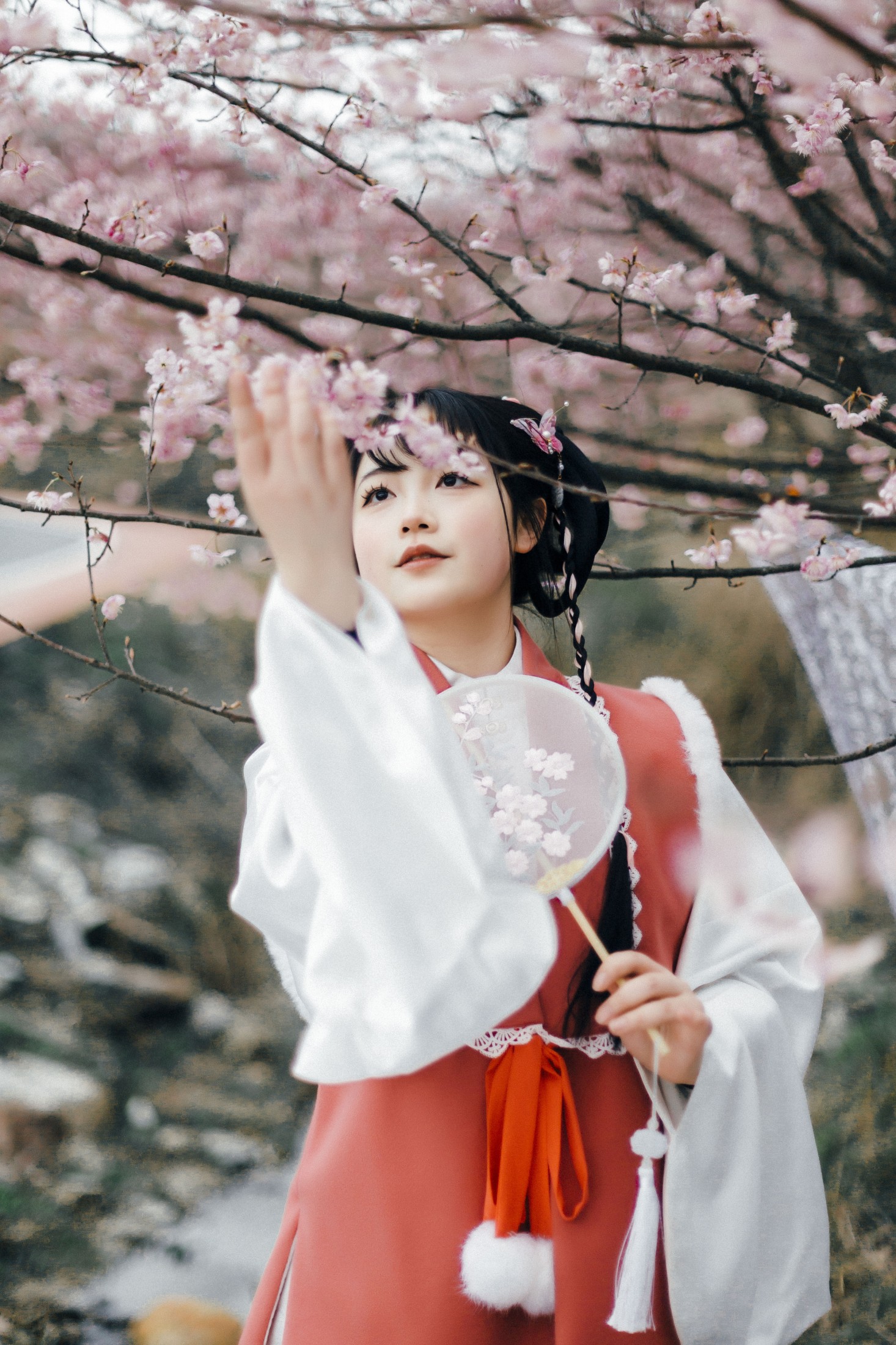 -张张要开张- – 《赏春》[18P]