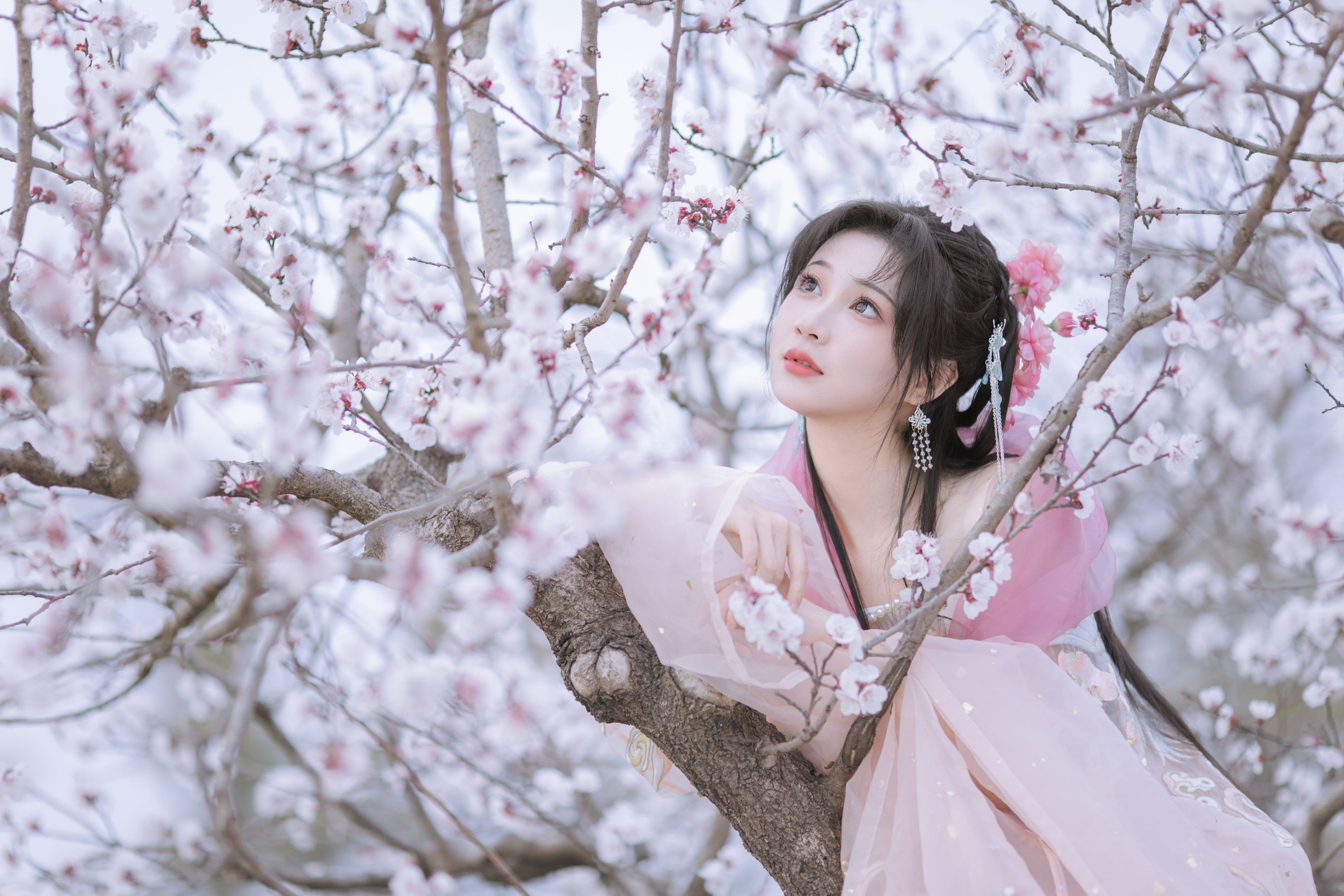 绮罗生的小苏苏 – 《杏花小仙子》[18P]