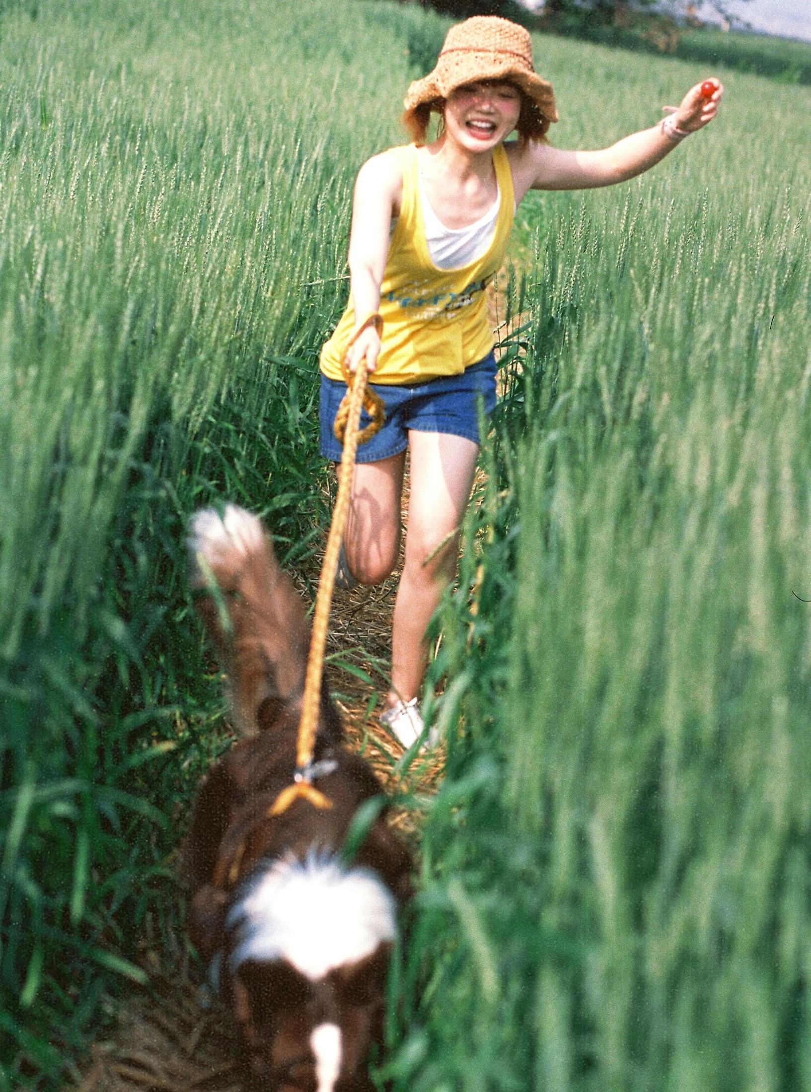 俊熙眼子 – 《麦田，少女，和狗》[17P]