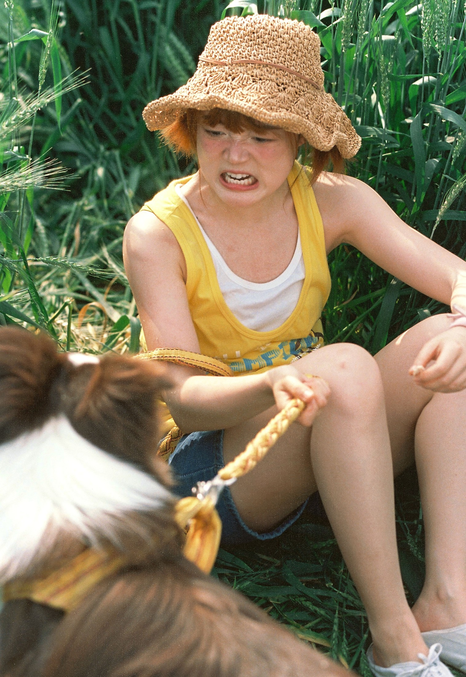 俊熙眼子 – 《麦田，少女，和狗》[17P]