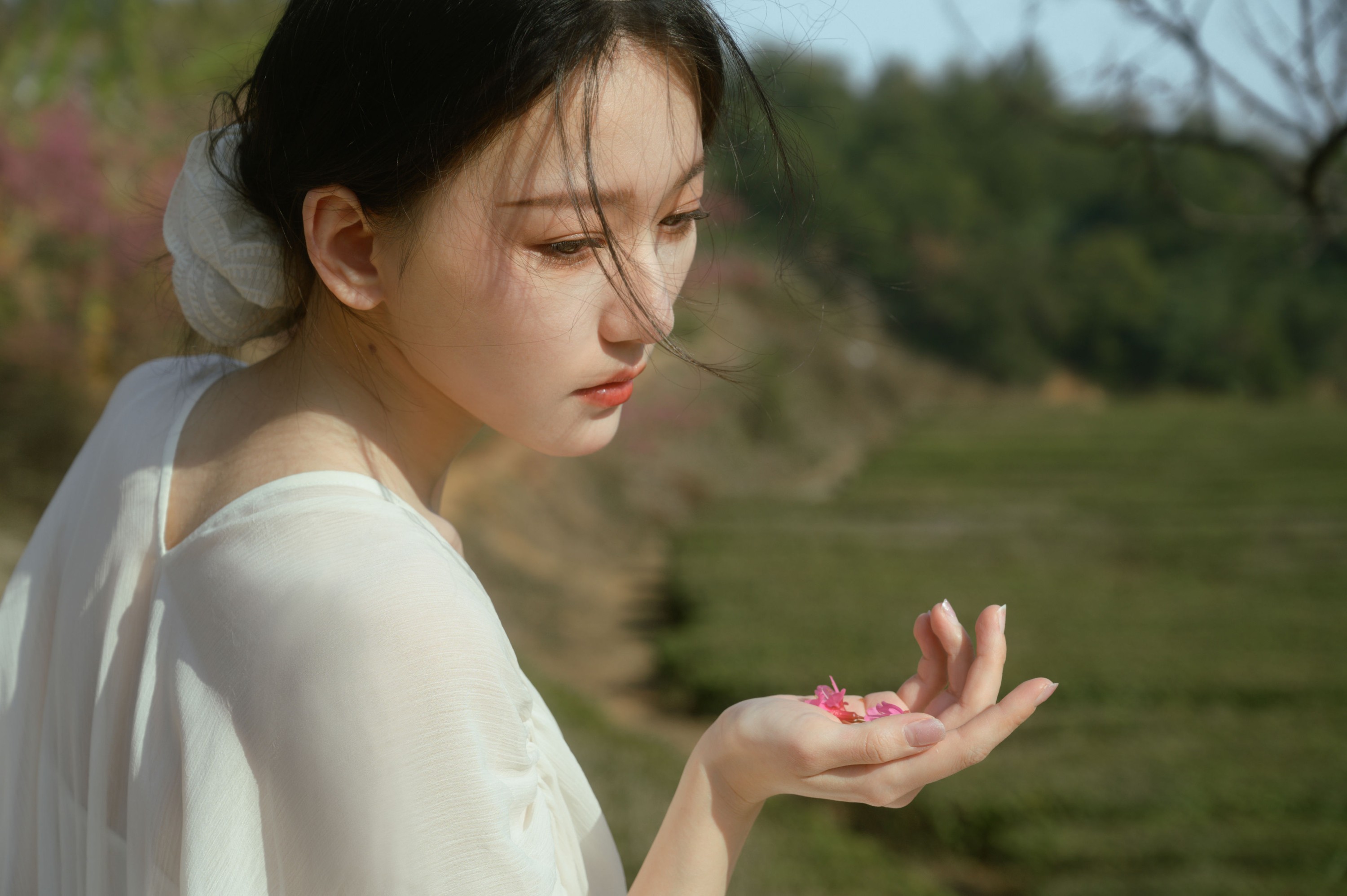 小月 – 《茶与樱》[27P]