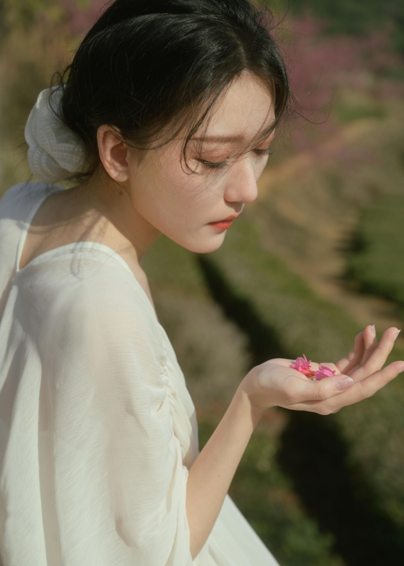 小月 – 《茶与樱》[27P]