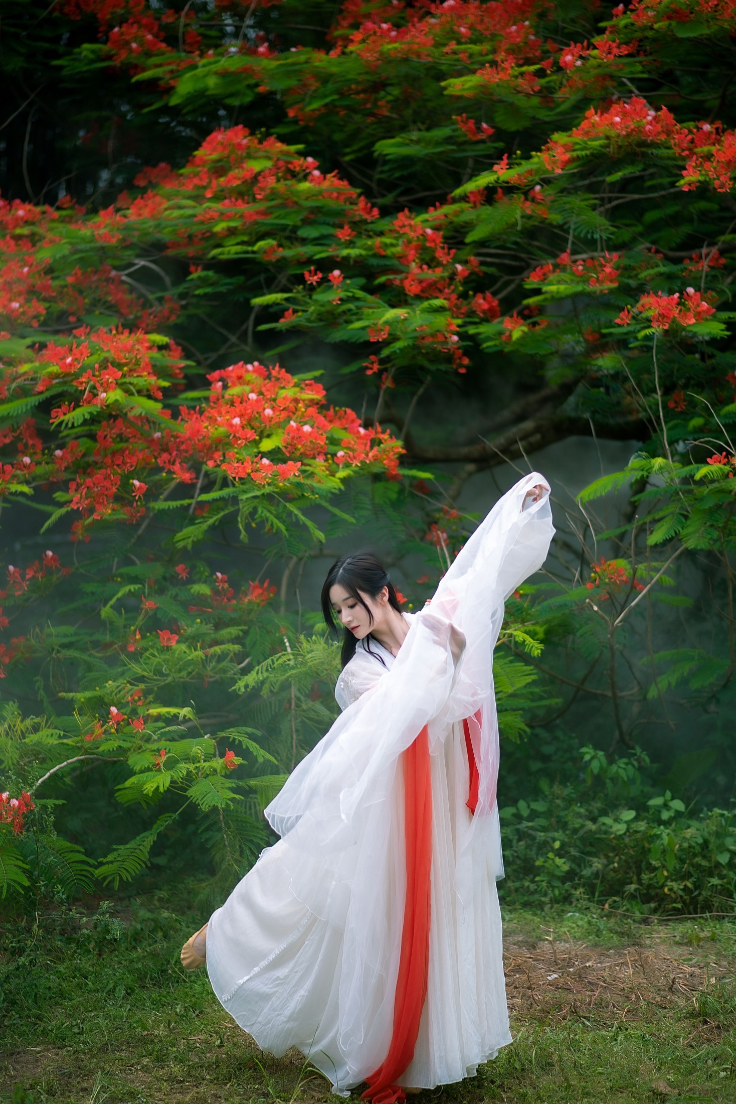 小冉 – 《凤凰花开》[18P] 插图3