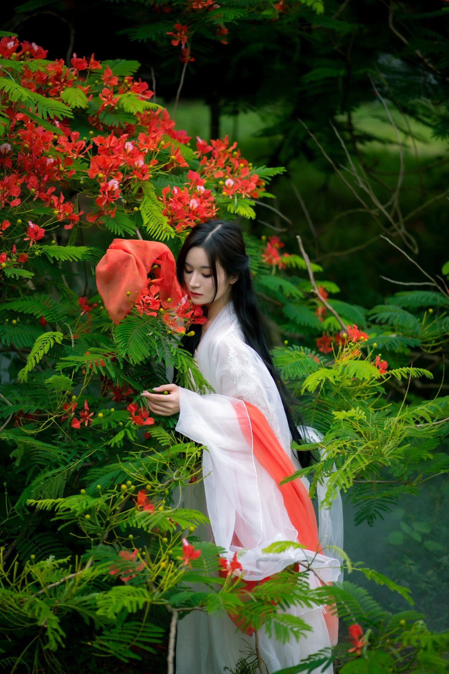 小冉 – 《凤凰花开》[18P]