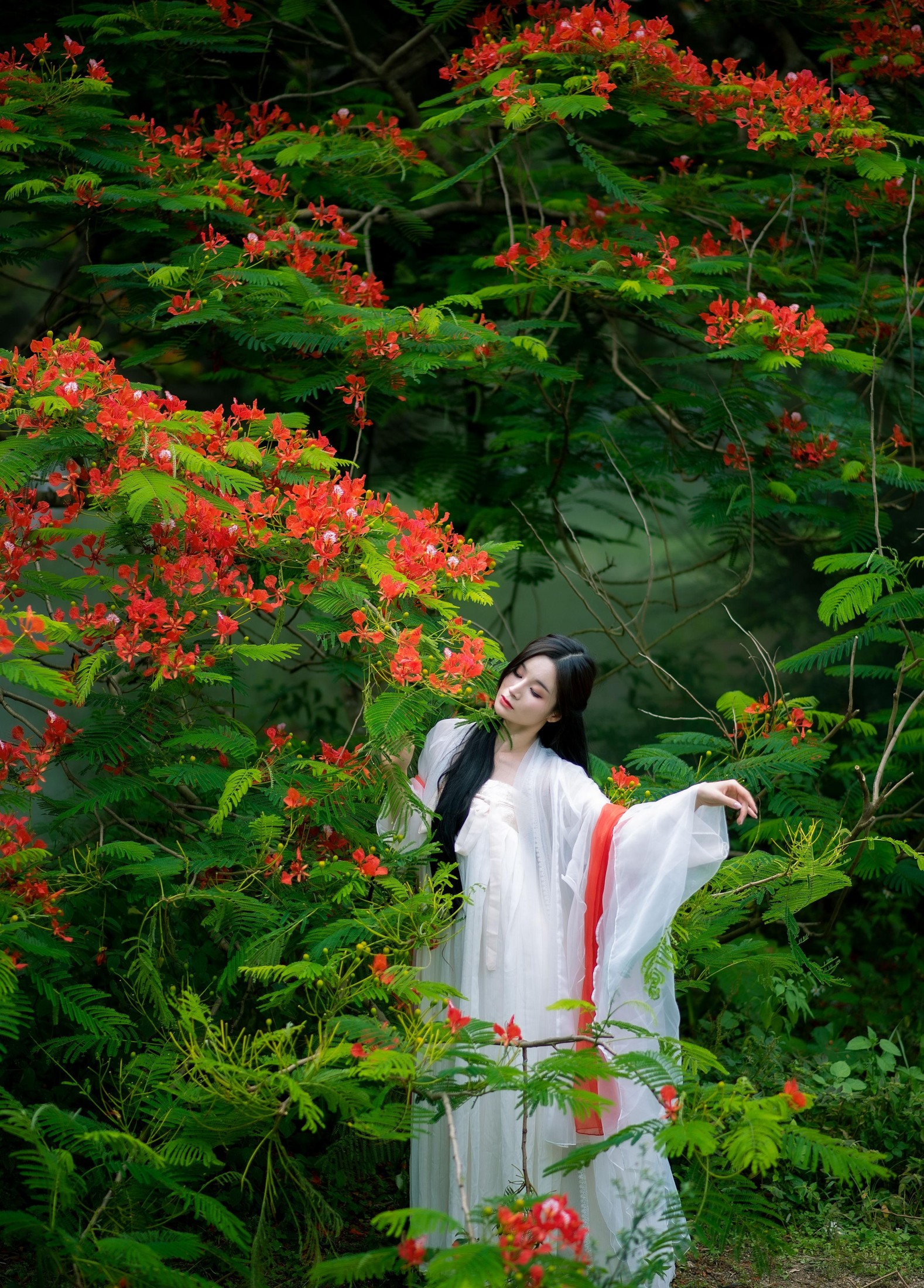 小冉 – 《凤凰花开》[18P] 插图2