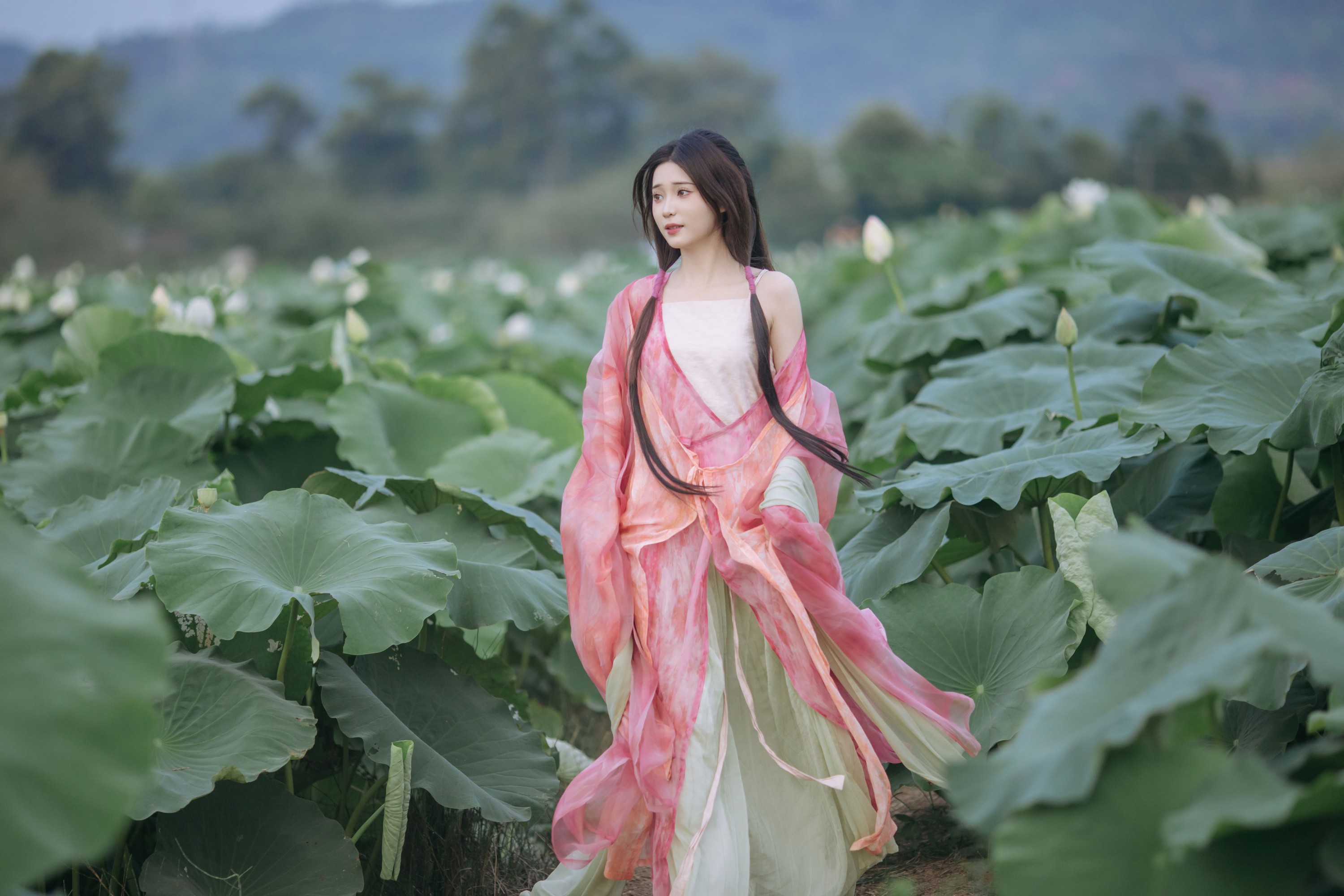 褚鸢鸢 – 《晚风吹倒荷花叶》[17P]