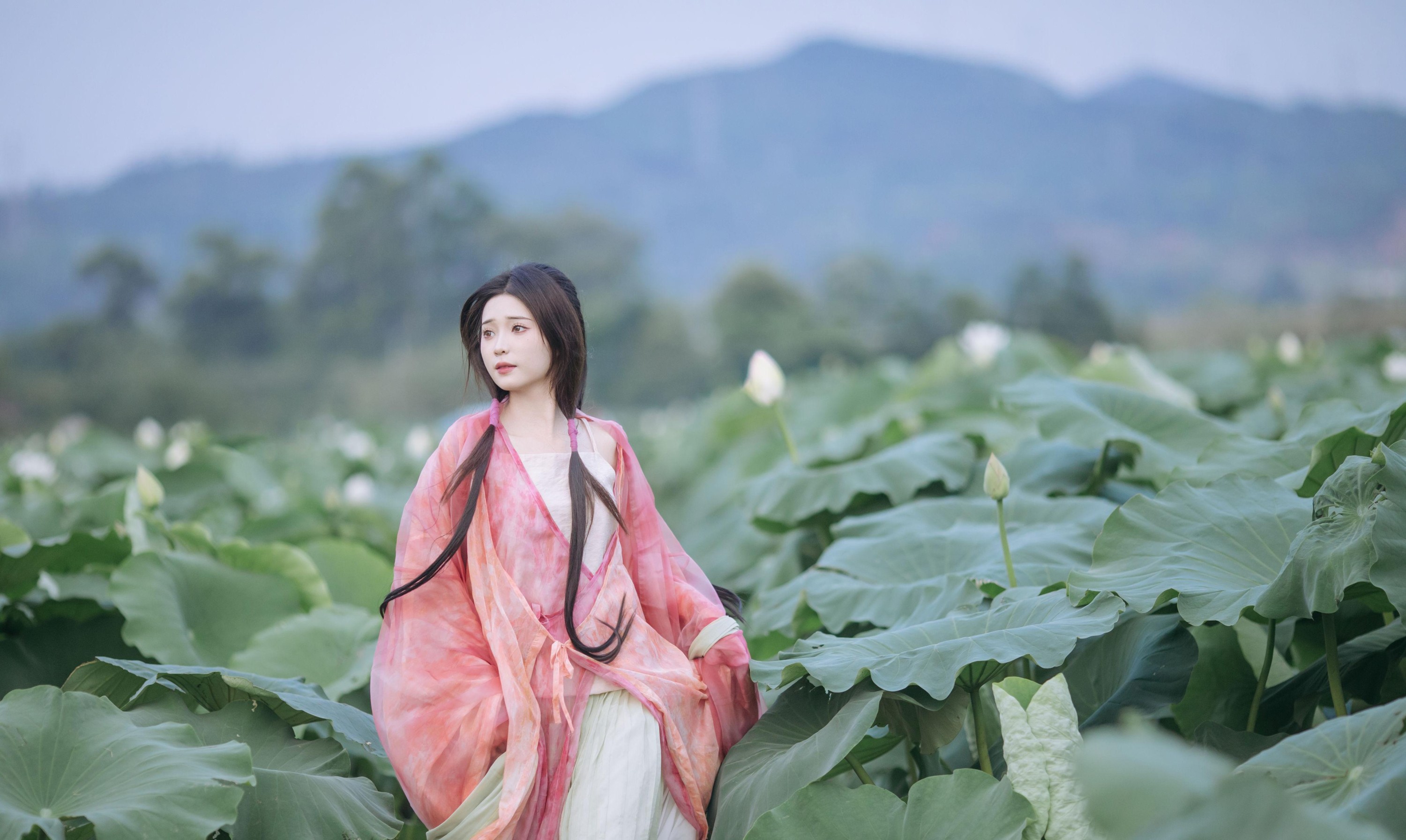 褚鸢鸢 – 《晚风吹倒荷花叶》[17P]