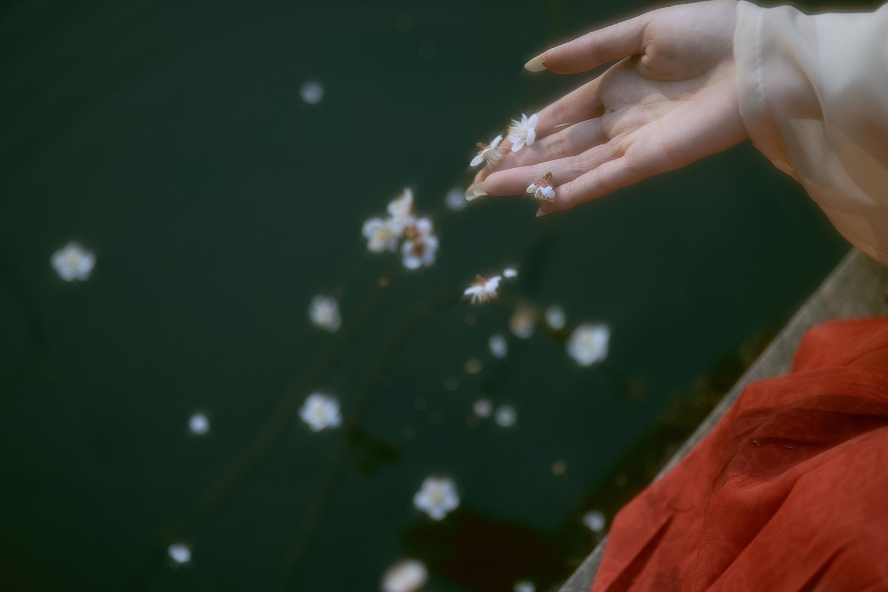 卿辛 八重湖泽 木土土土桂 – 《梦》[16P]