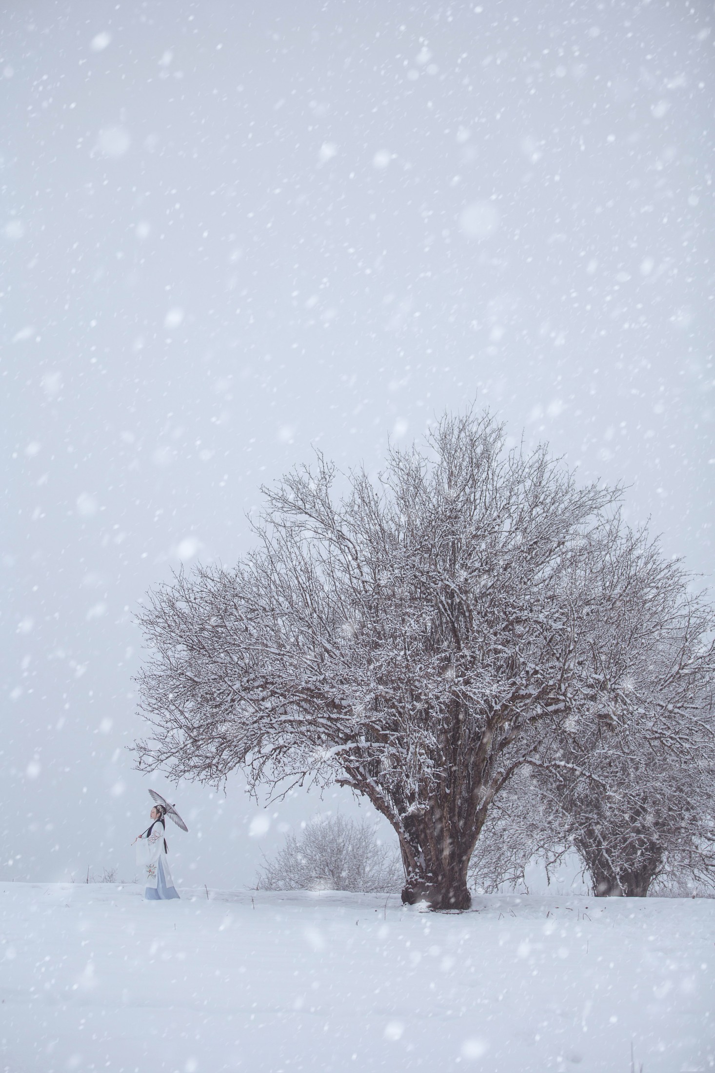 -芝月- – 《暮烟》[19P]