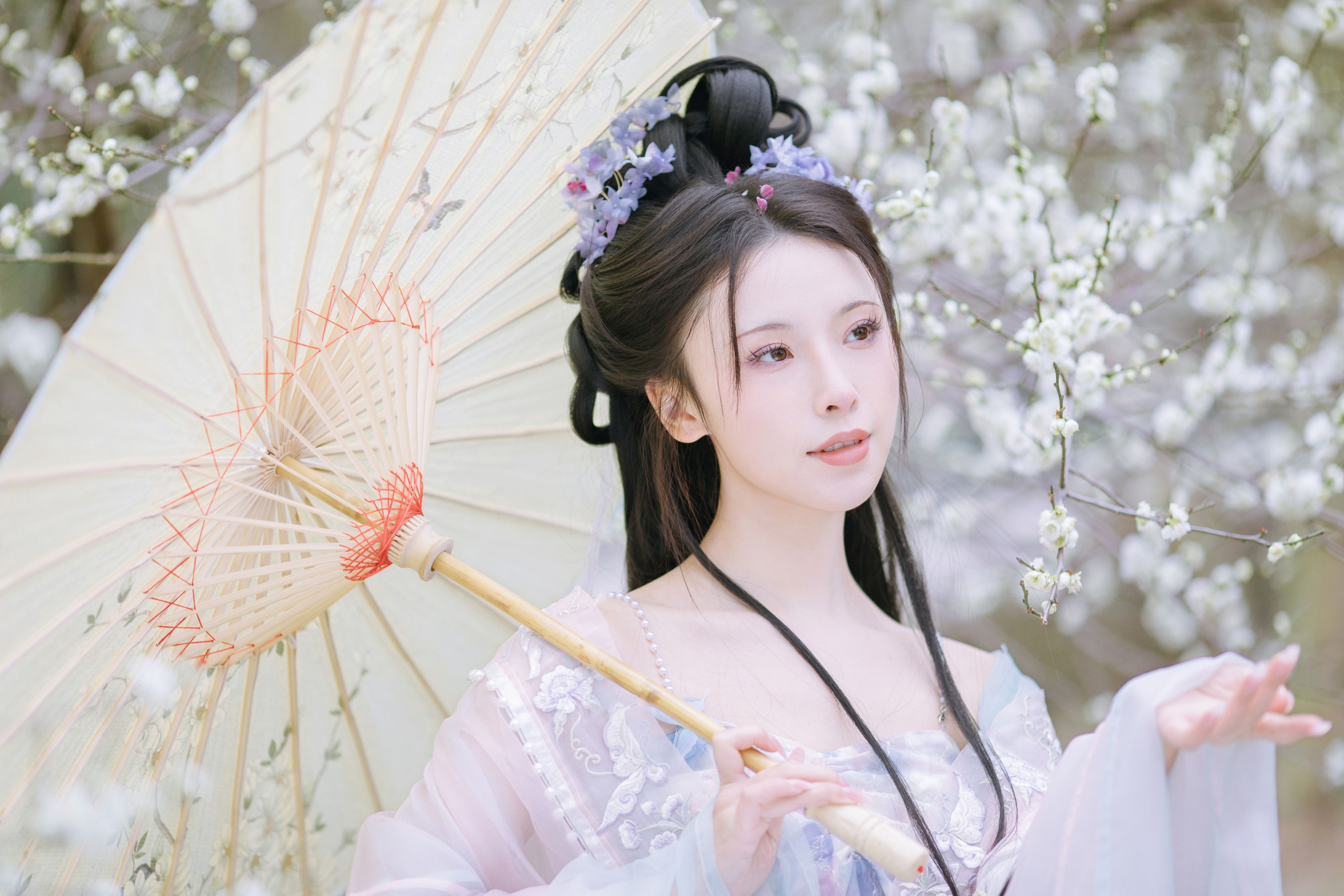 一小枝枝枝枝 – 《暗香疏影》[17P]