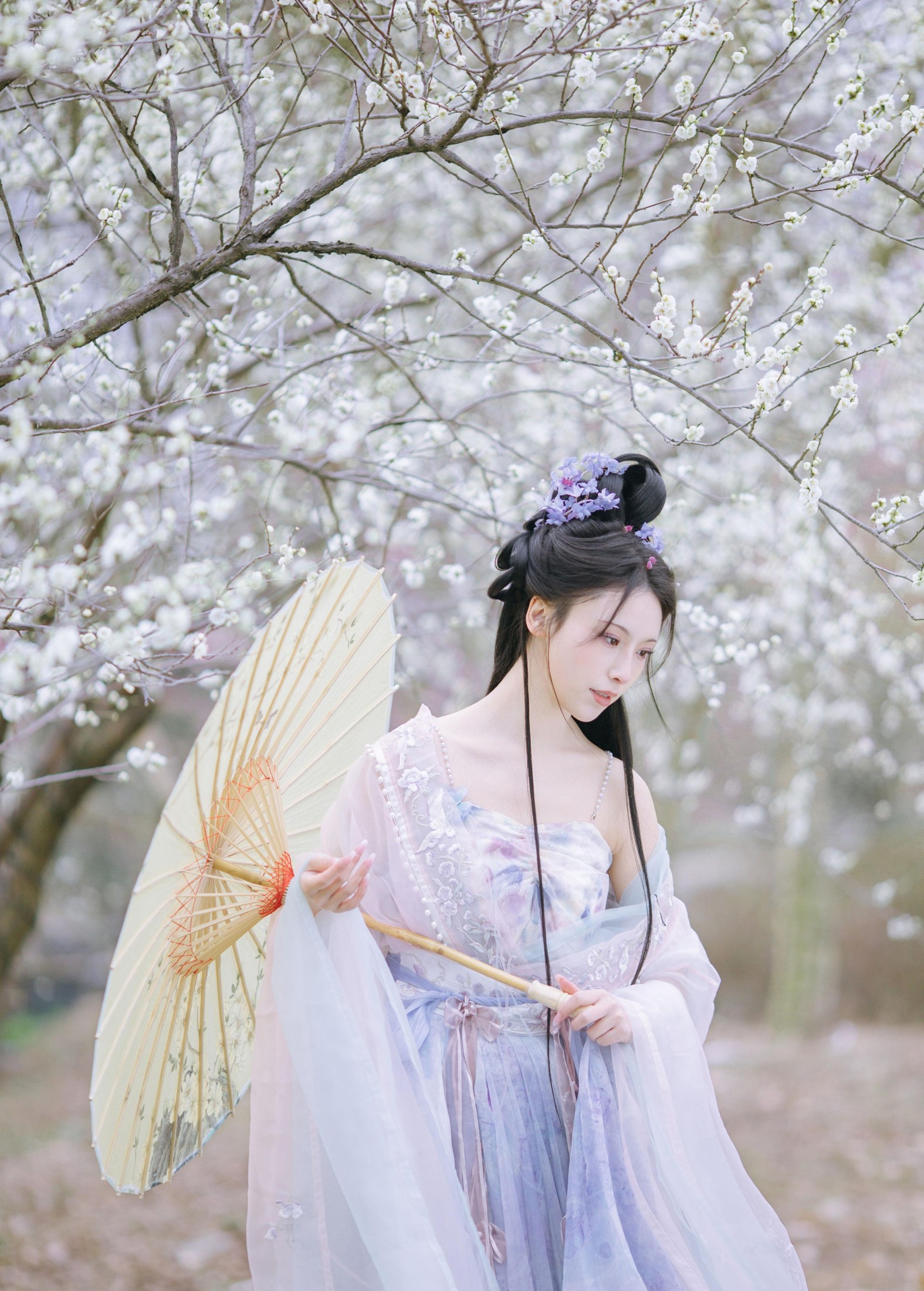 一小枝枝枝枝 – 《暗香疏影》[17P]