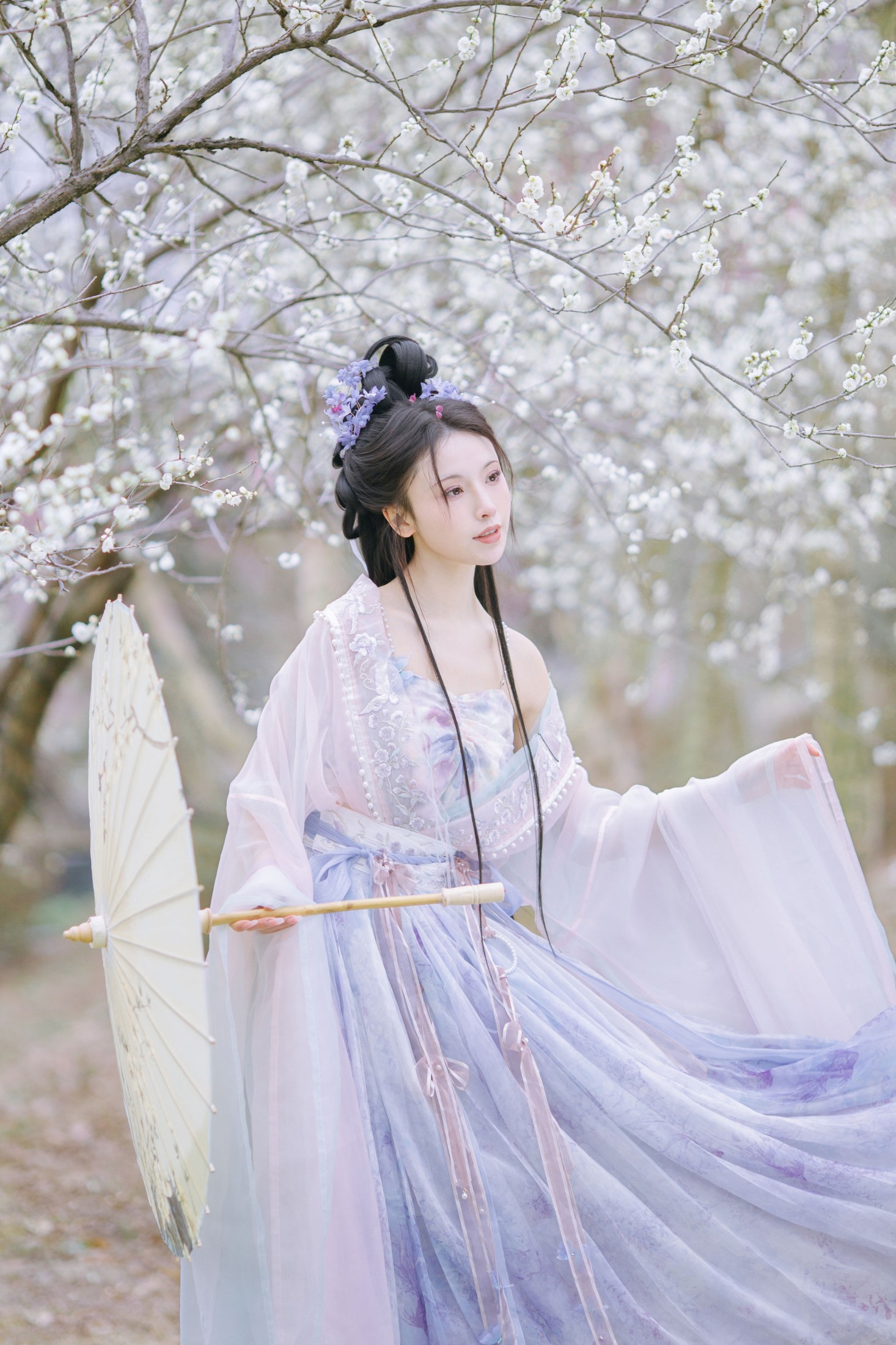 一小枝枝枝枝 – 《暗香疏影》[17P]