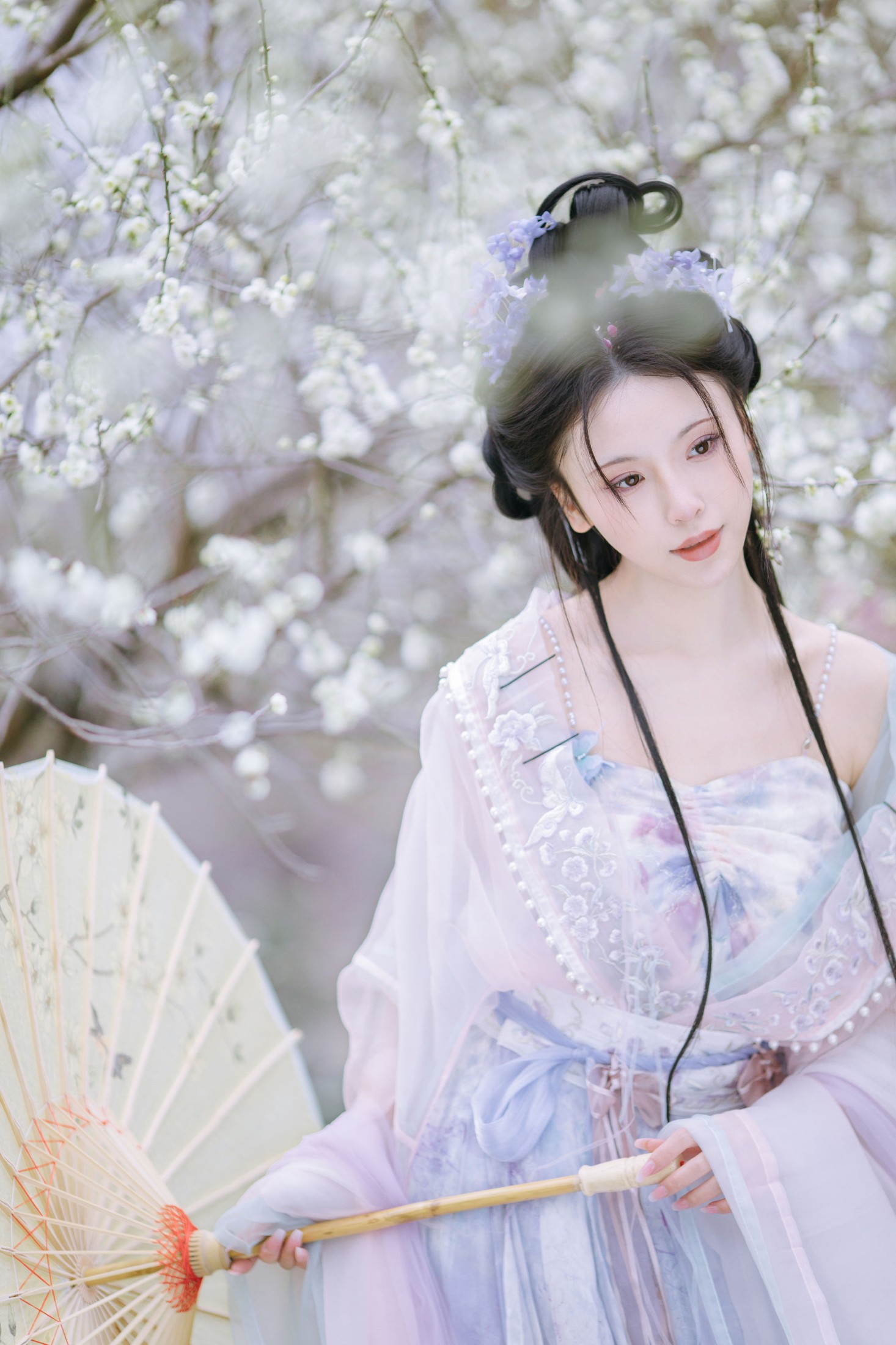 一小枝枝枝枝 – 《暗香疏影》[17P]