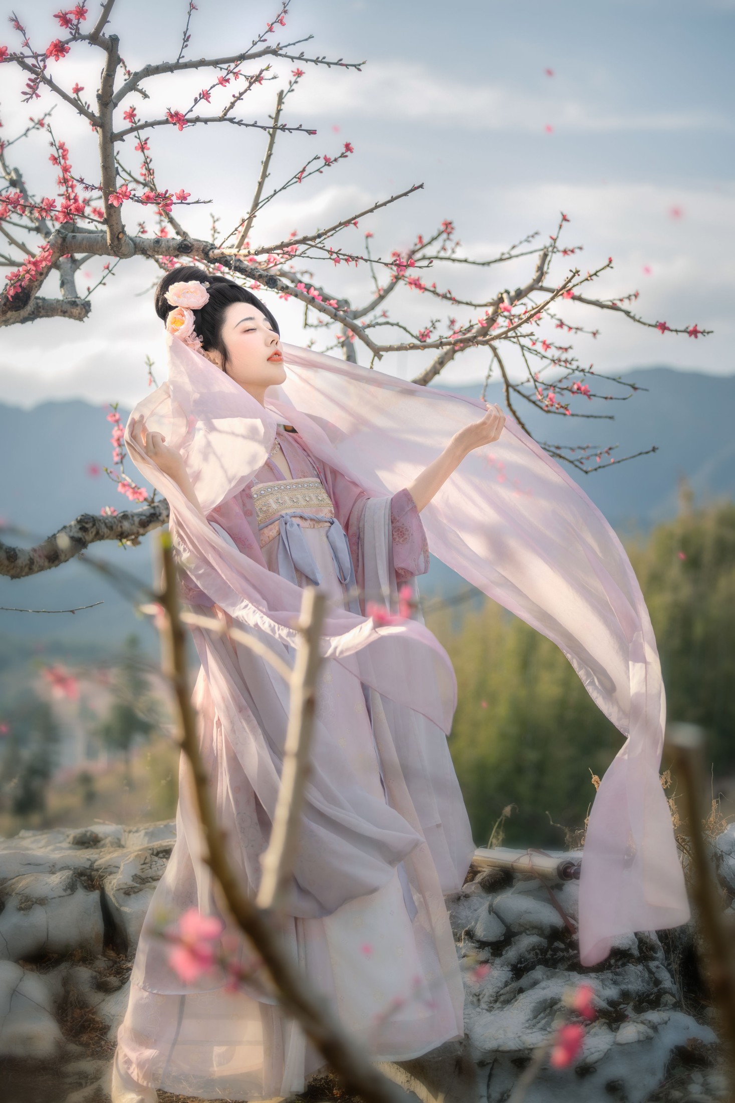 CC – 《花非花》[32P]