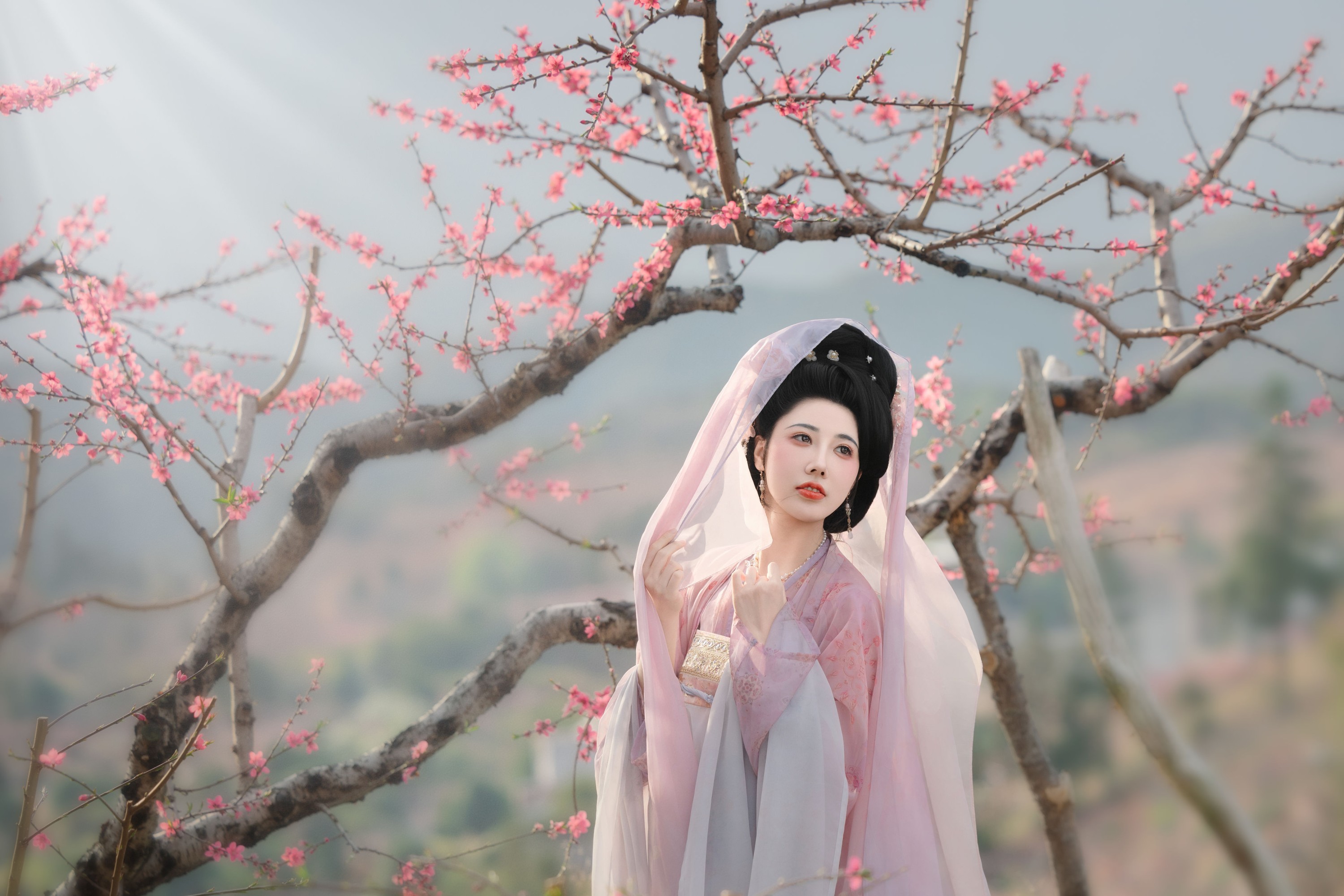 CC – 《花非花》[32P] 插图3