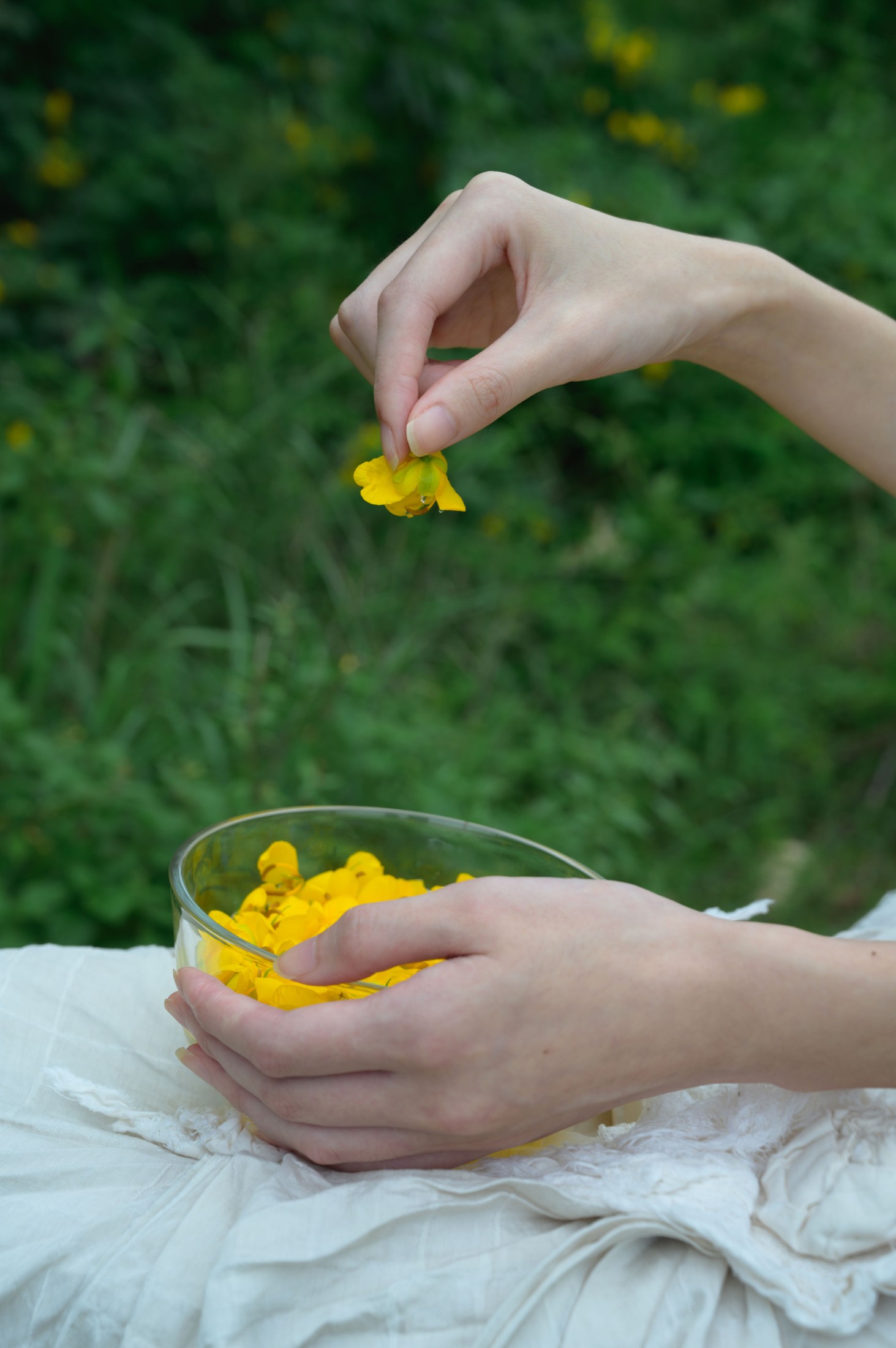 阿吉缘子 – 《黄槐花开》[18P]