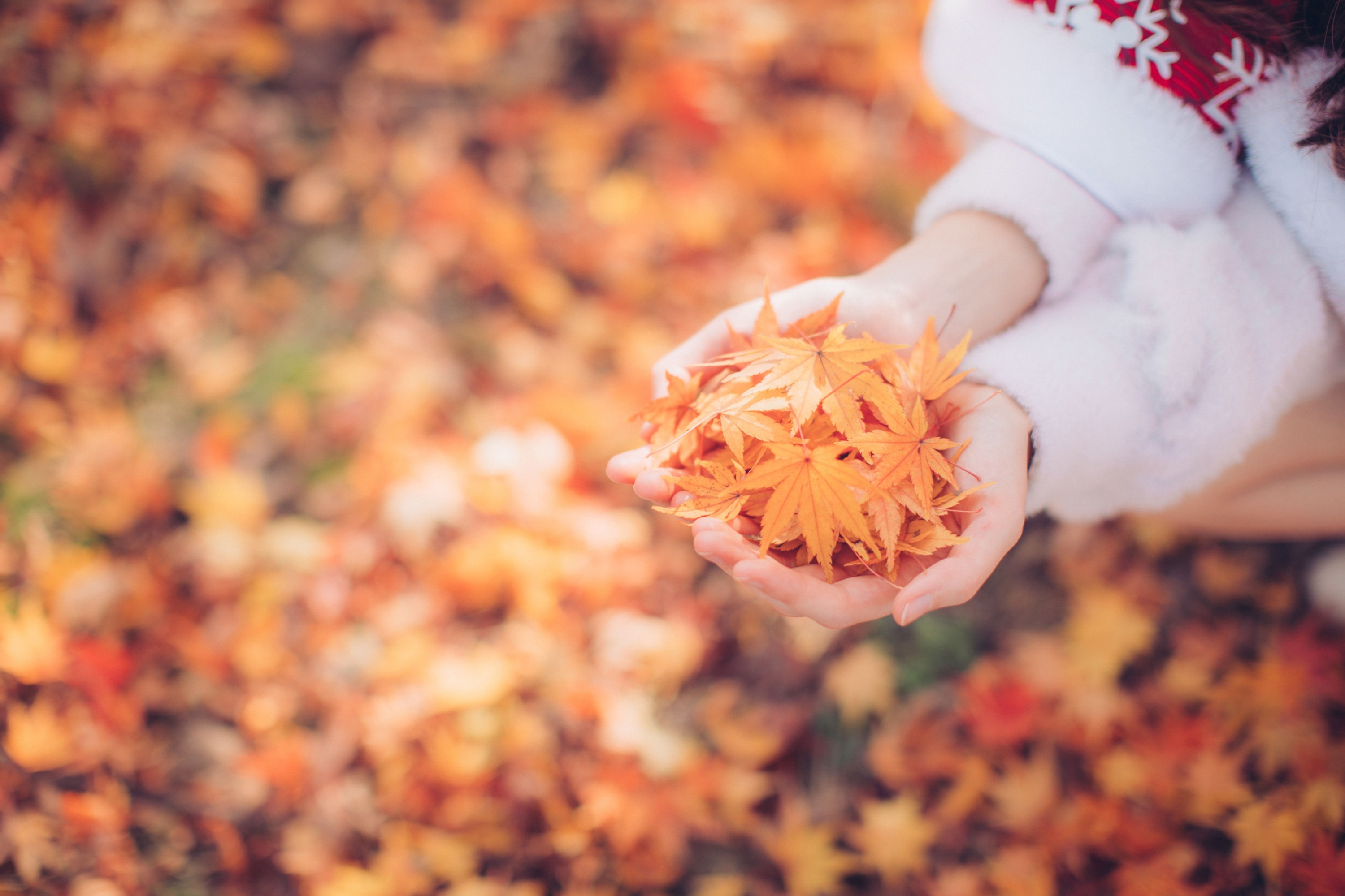 徐十七嘛 – 《圣诞少女》[16P] 插图4