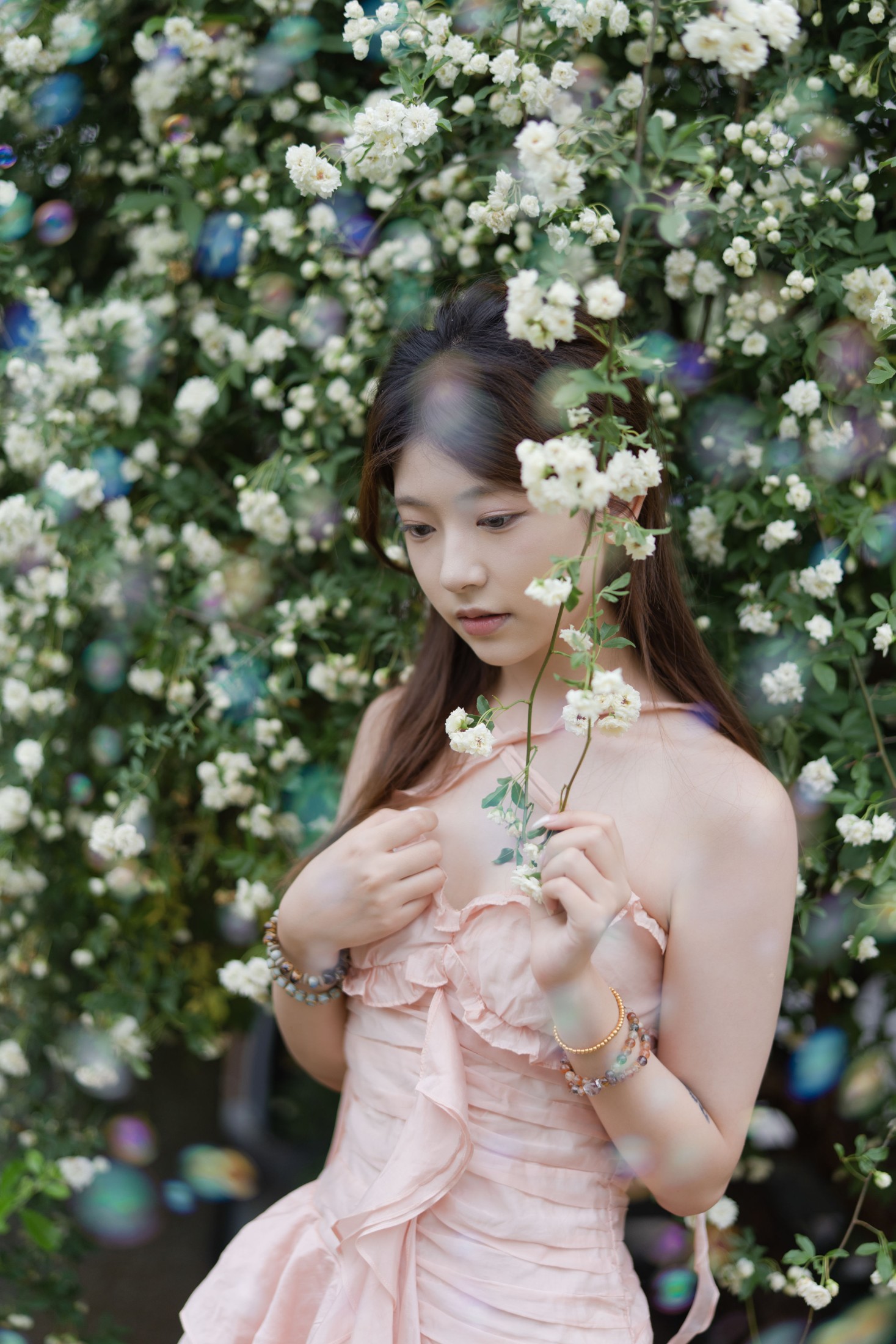 只喝奶盖 – 《蔷薇情》[28P]