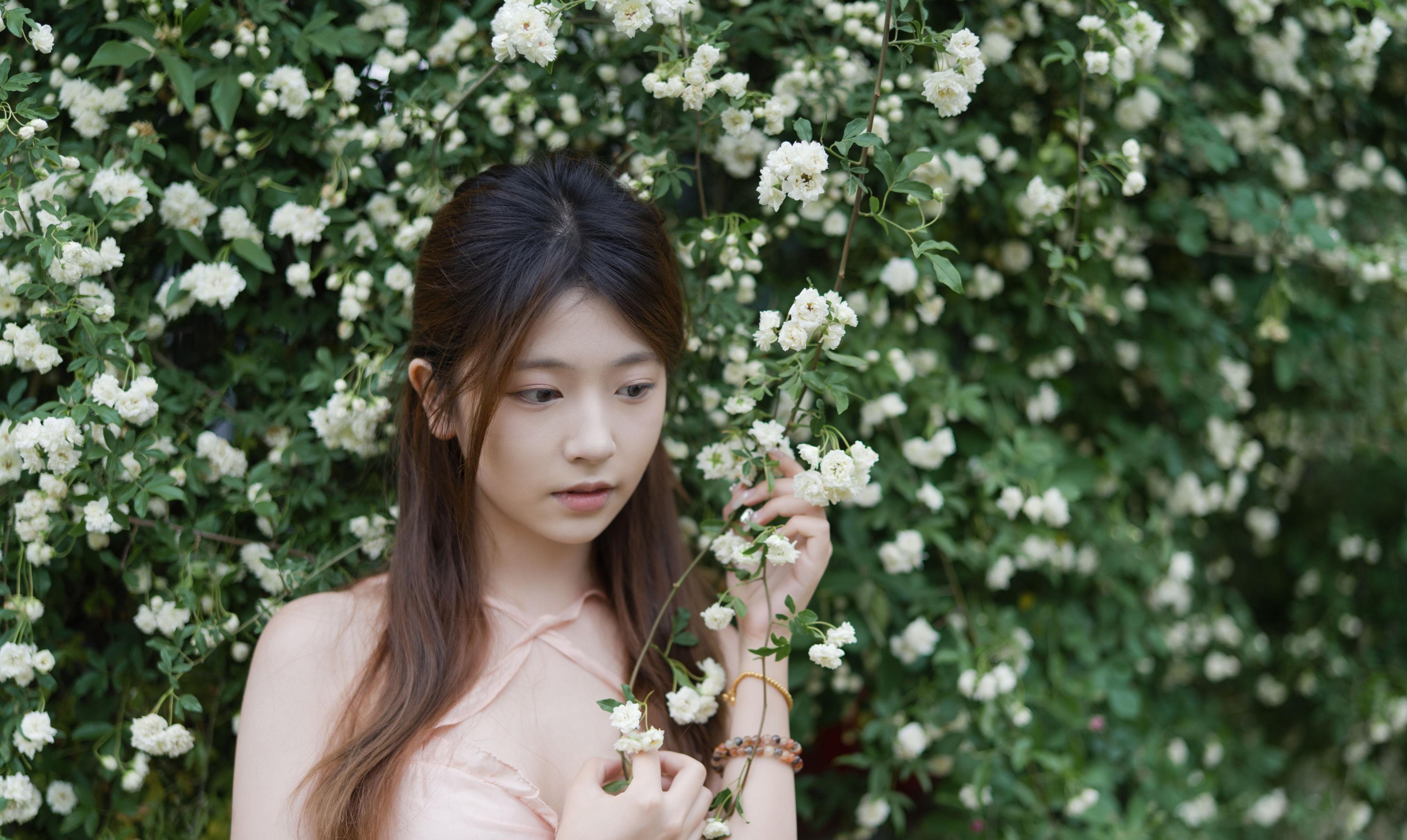 只喝奶盖 – 《蔷薇情》[28P]