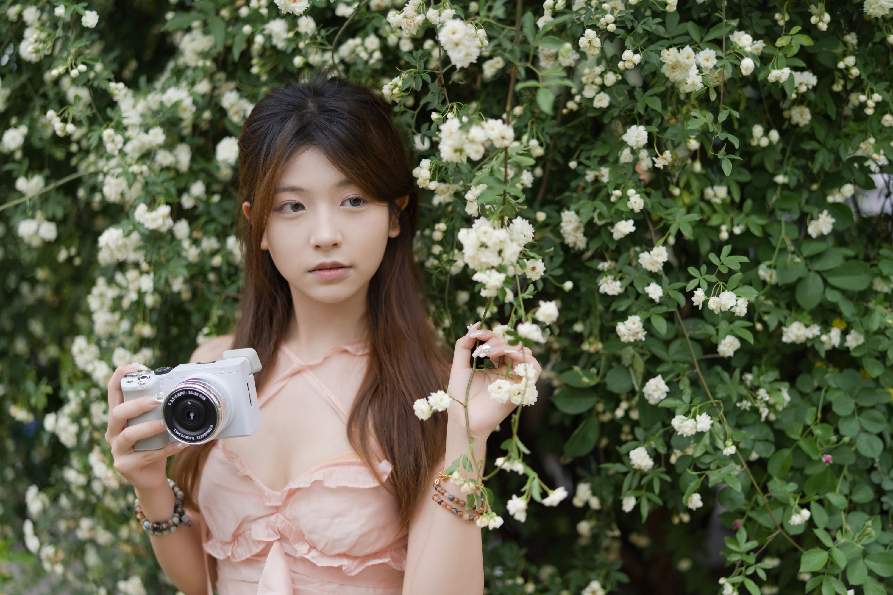 只喝奶盖 – 《蔷薇情》[28P]