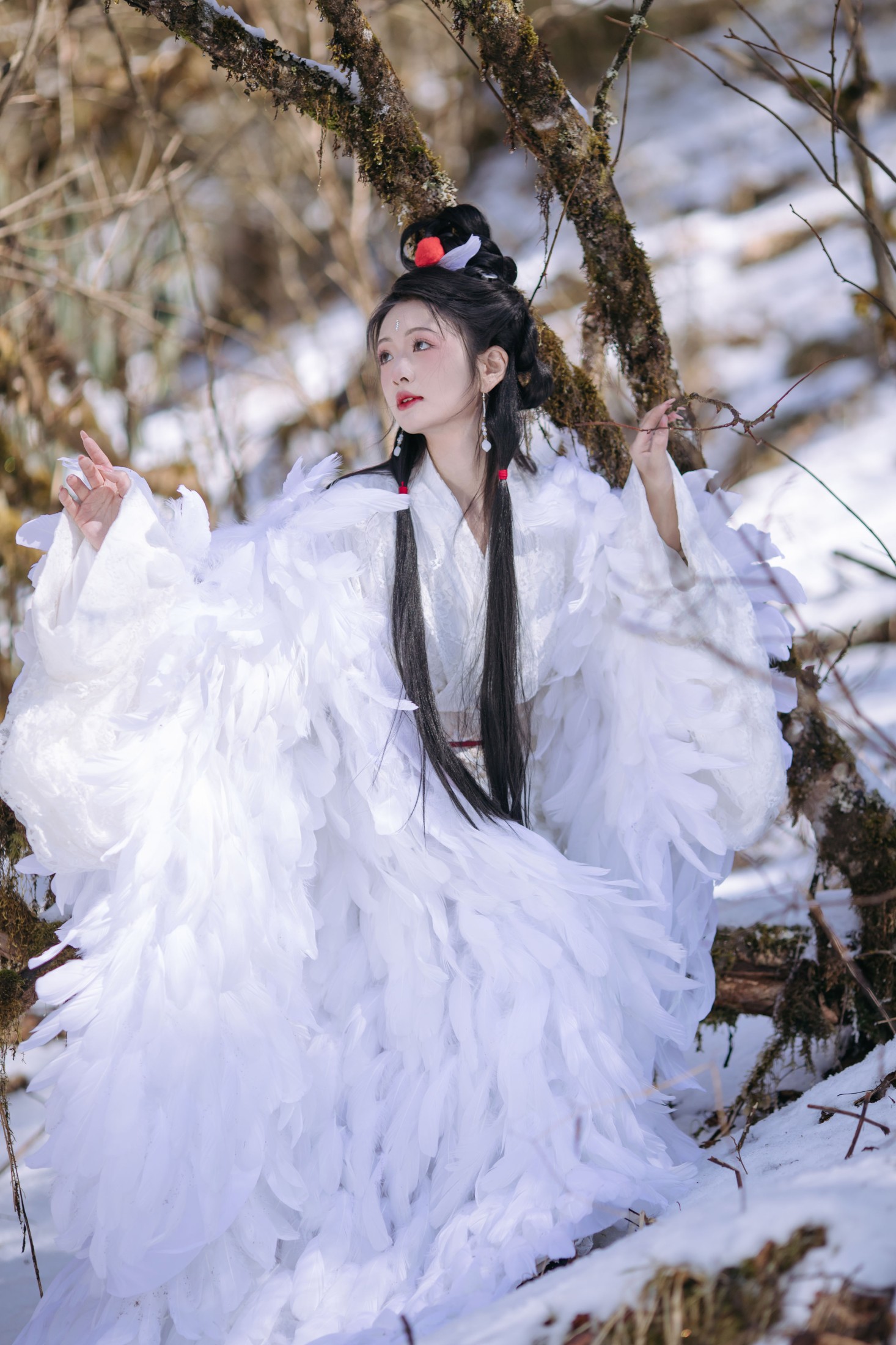 赤嫣在这里～ – 《鹤族圣女》[18P]