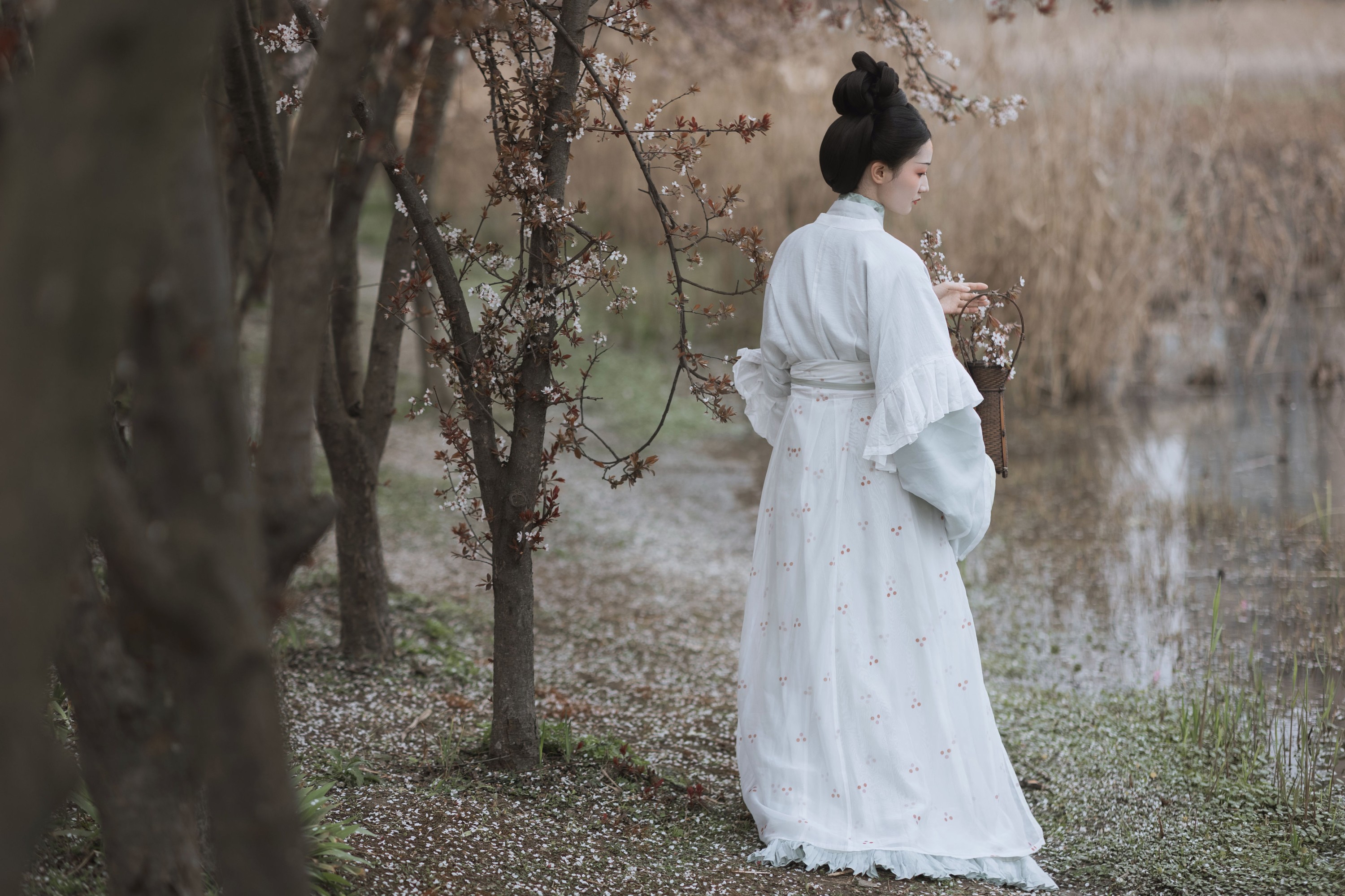 辞云镜 – 《探芳》[38P]