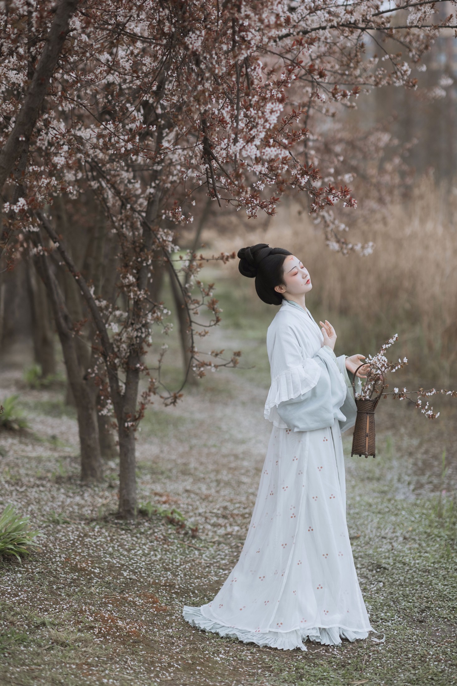 辞云镜 – 《探芳》[38P]