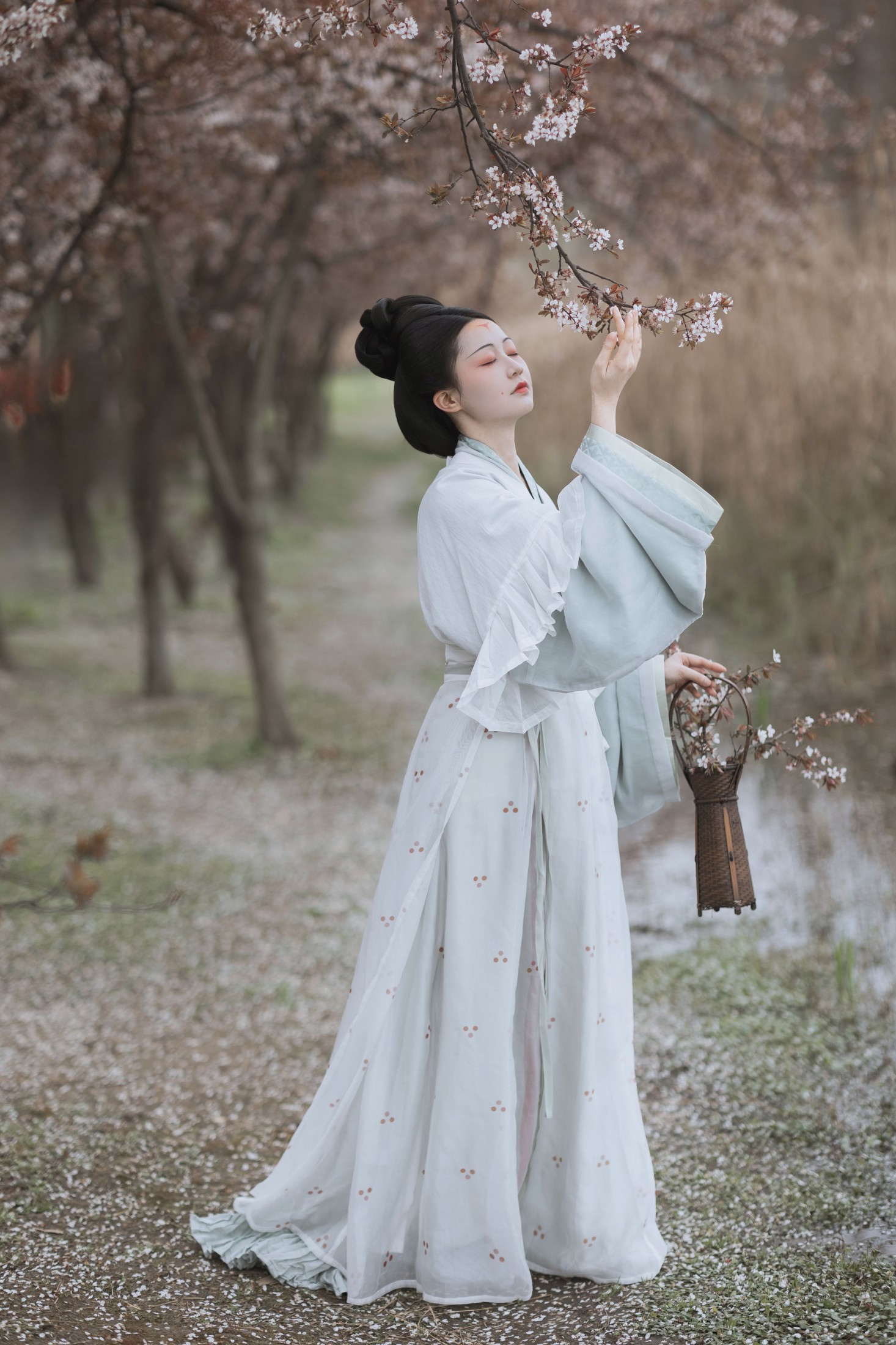 辞云镜 – 《探芳》[38P]