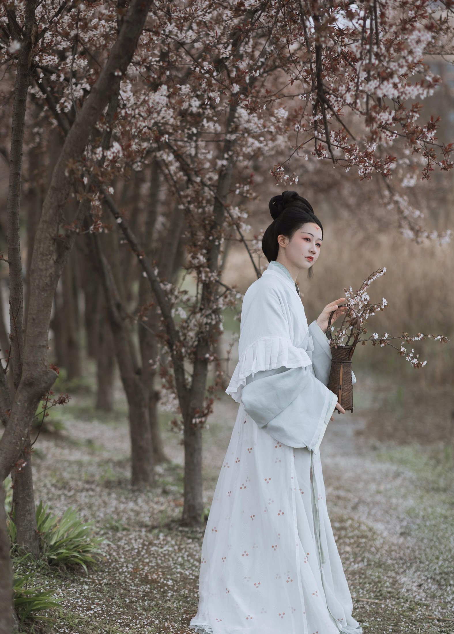 辞云镜 – 《探芳》[38P]