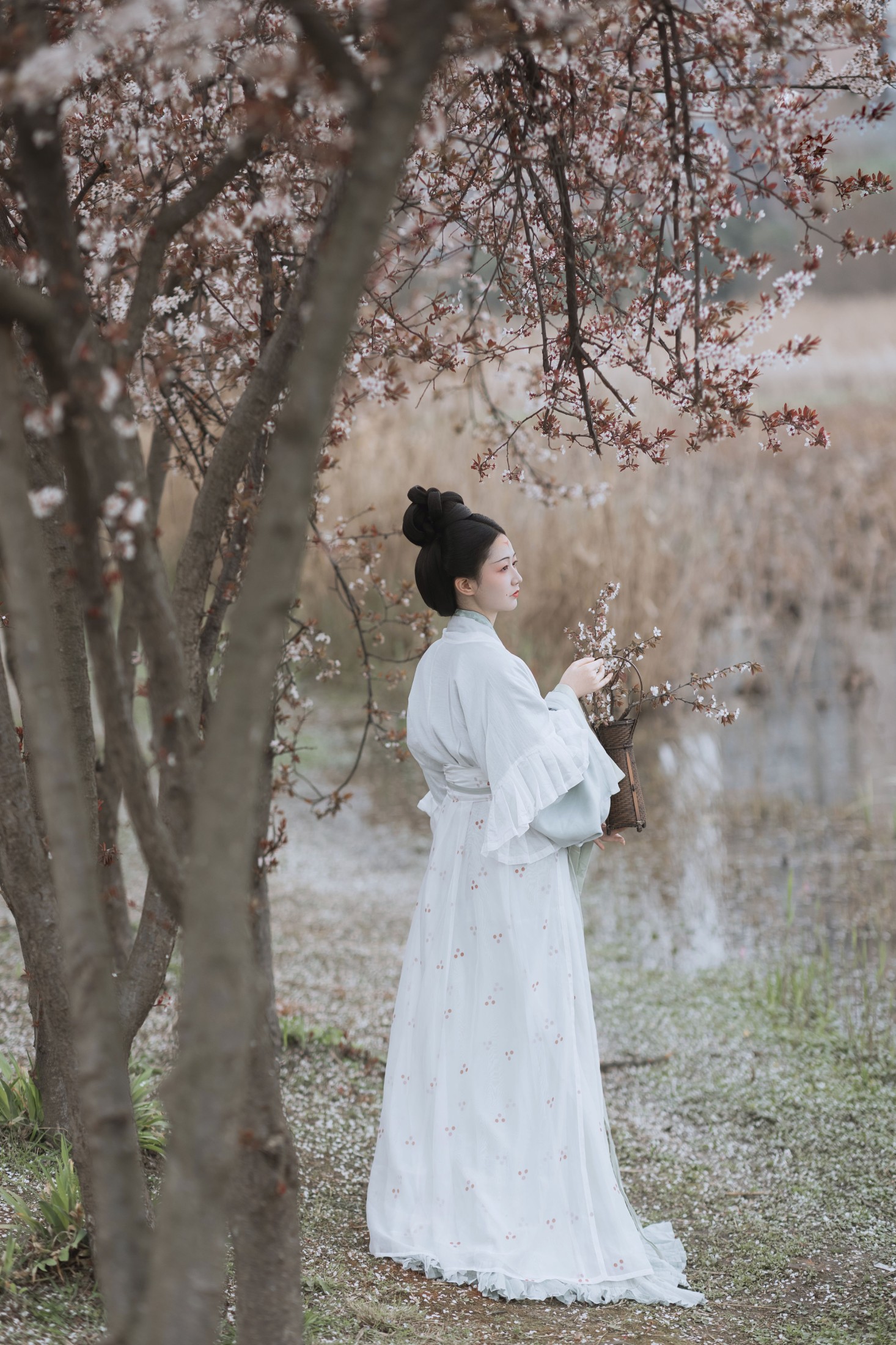 辞云镜 – 《探芳》[38P]