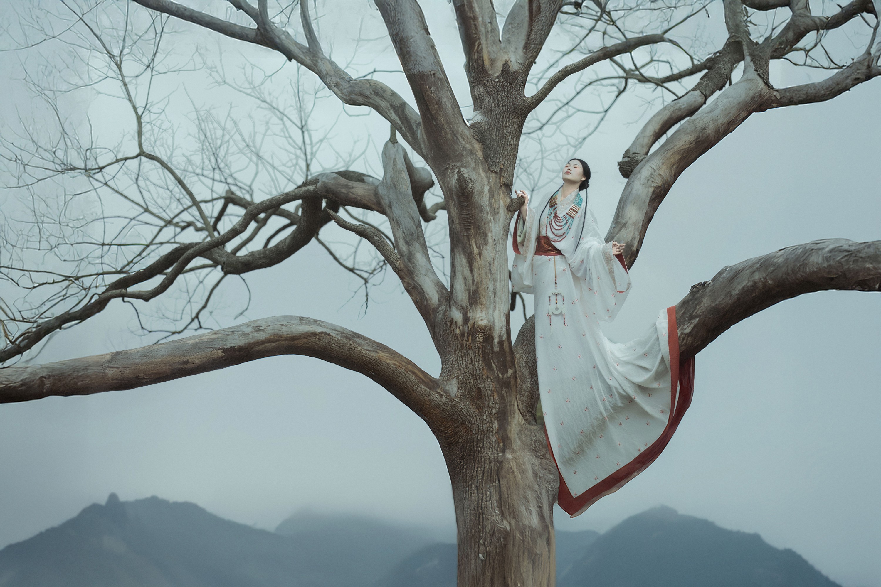 苏苏 – 《枯木》[23P]