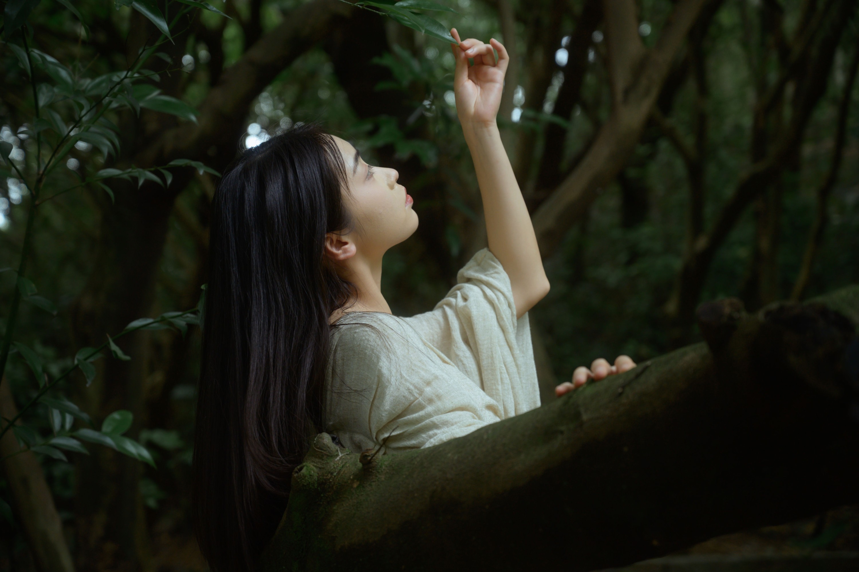 半个月亮 – 《在林中》[22P]