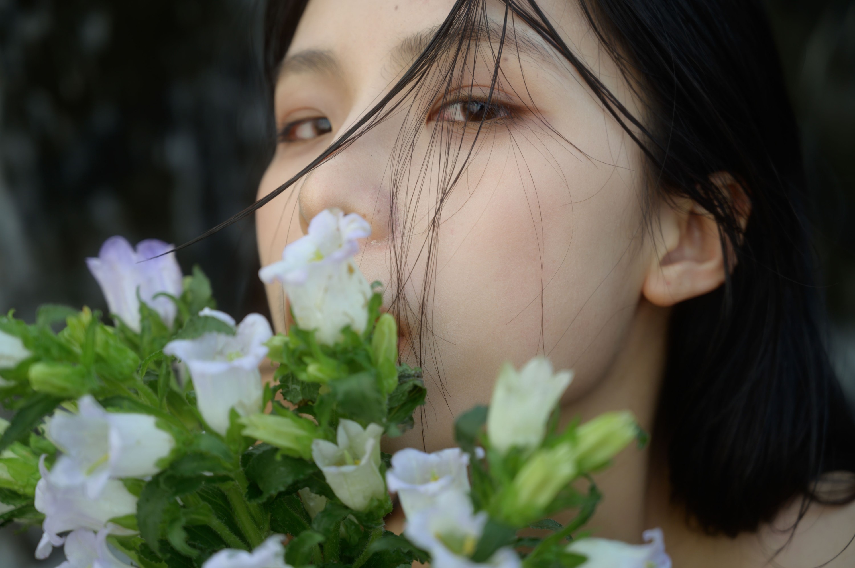 悲伤甜椒 – 《山涧溪水》[16P]