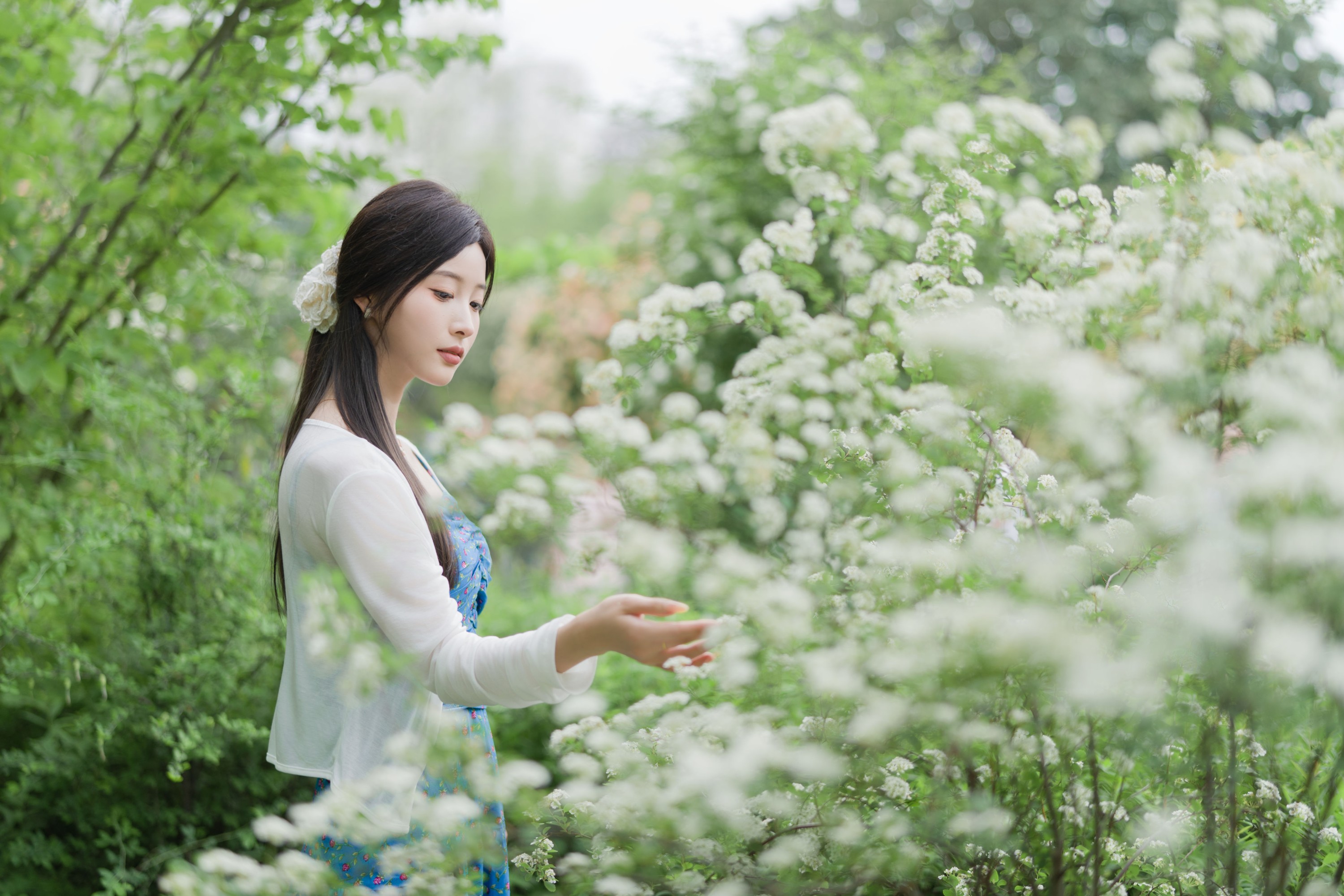 栀栀雯 – 《蔷薇春色》[36P]