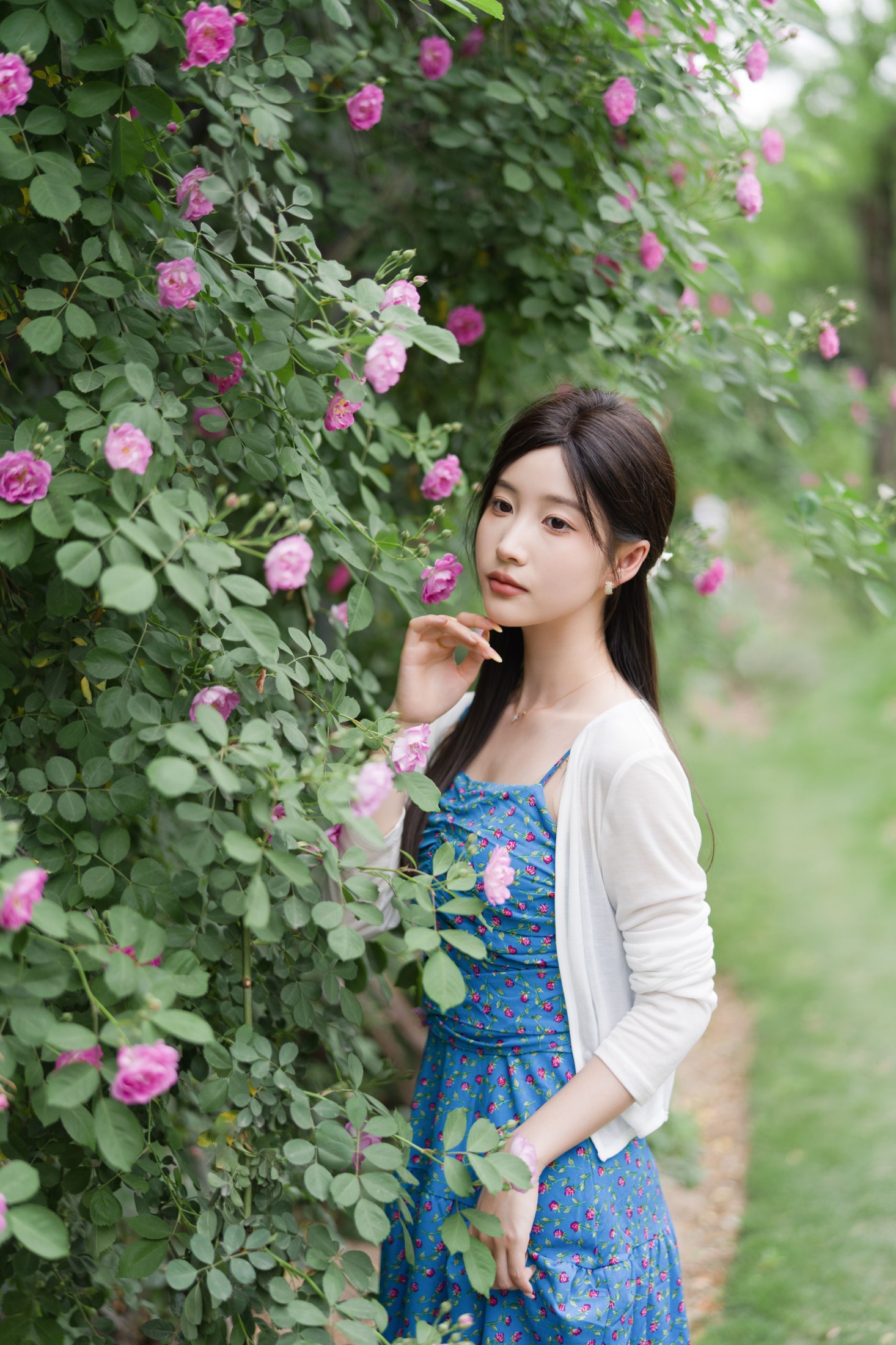 栀栀雯 – 《蔷薇春色》[36P]