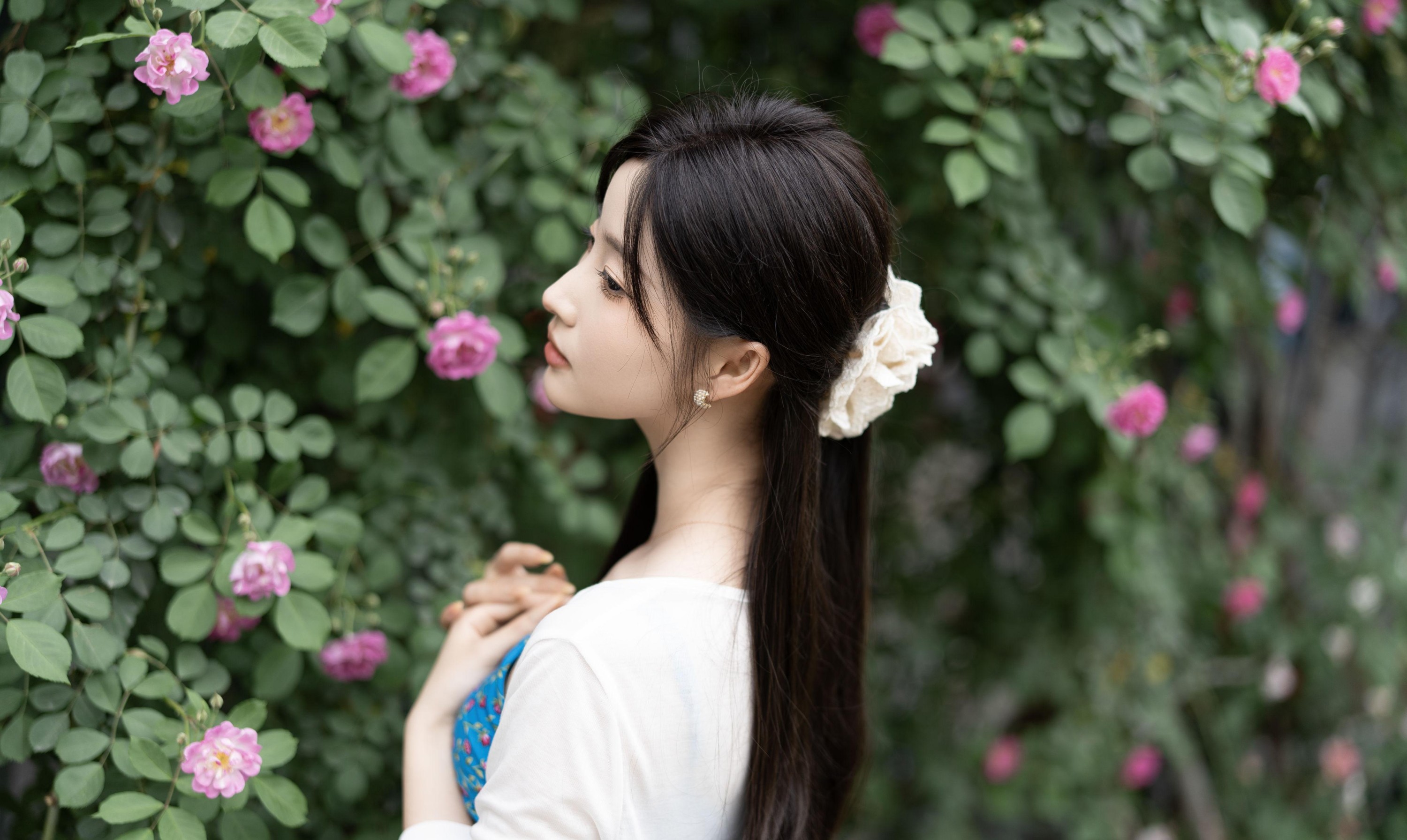 栀栀雯 – 《蔷薇春色》[36P]