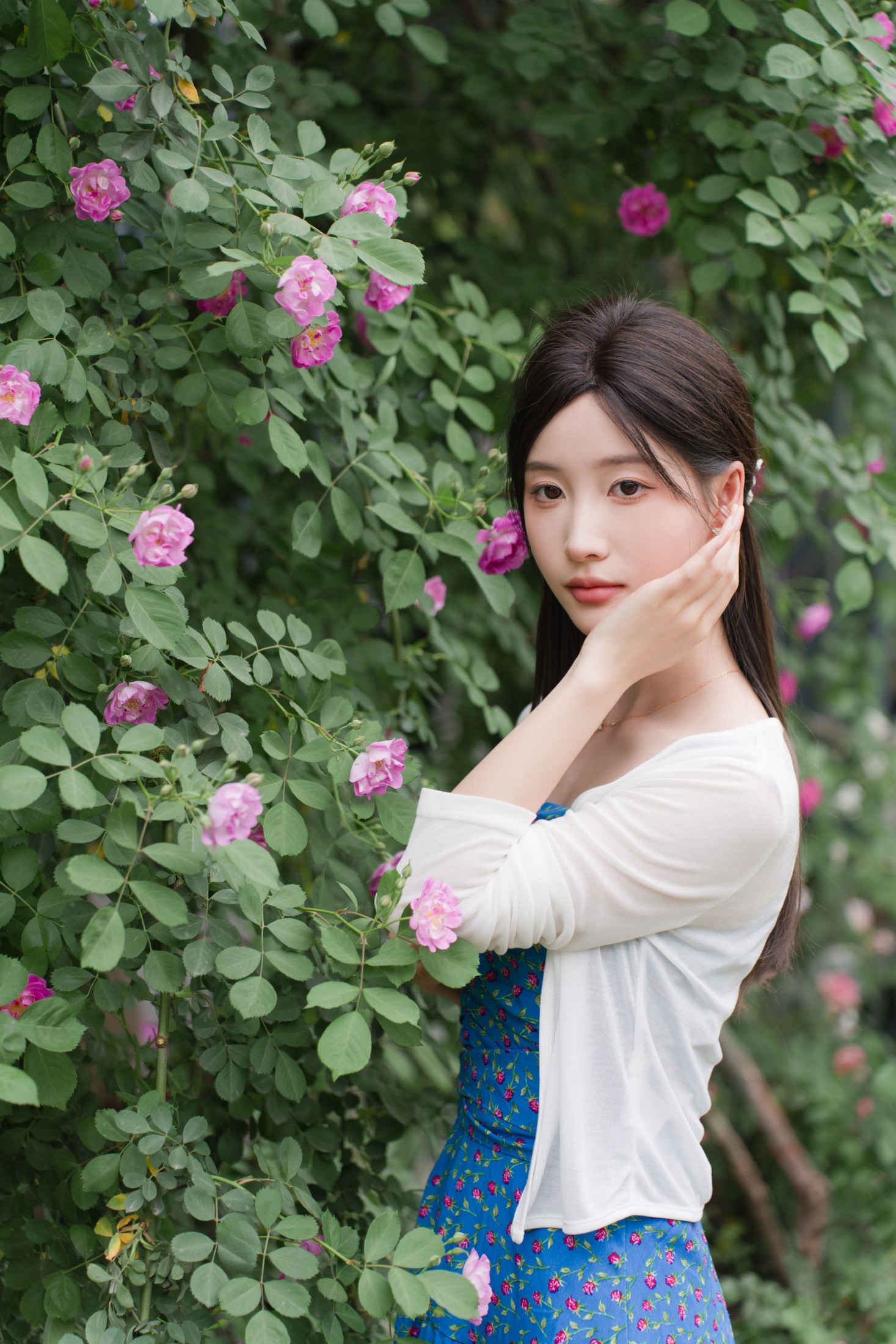 栀栀雯 – 《蔷薇春色》[36P]