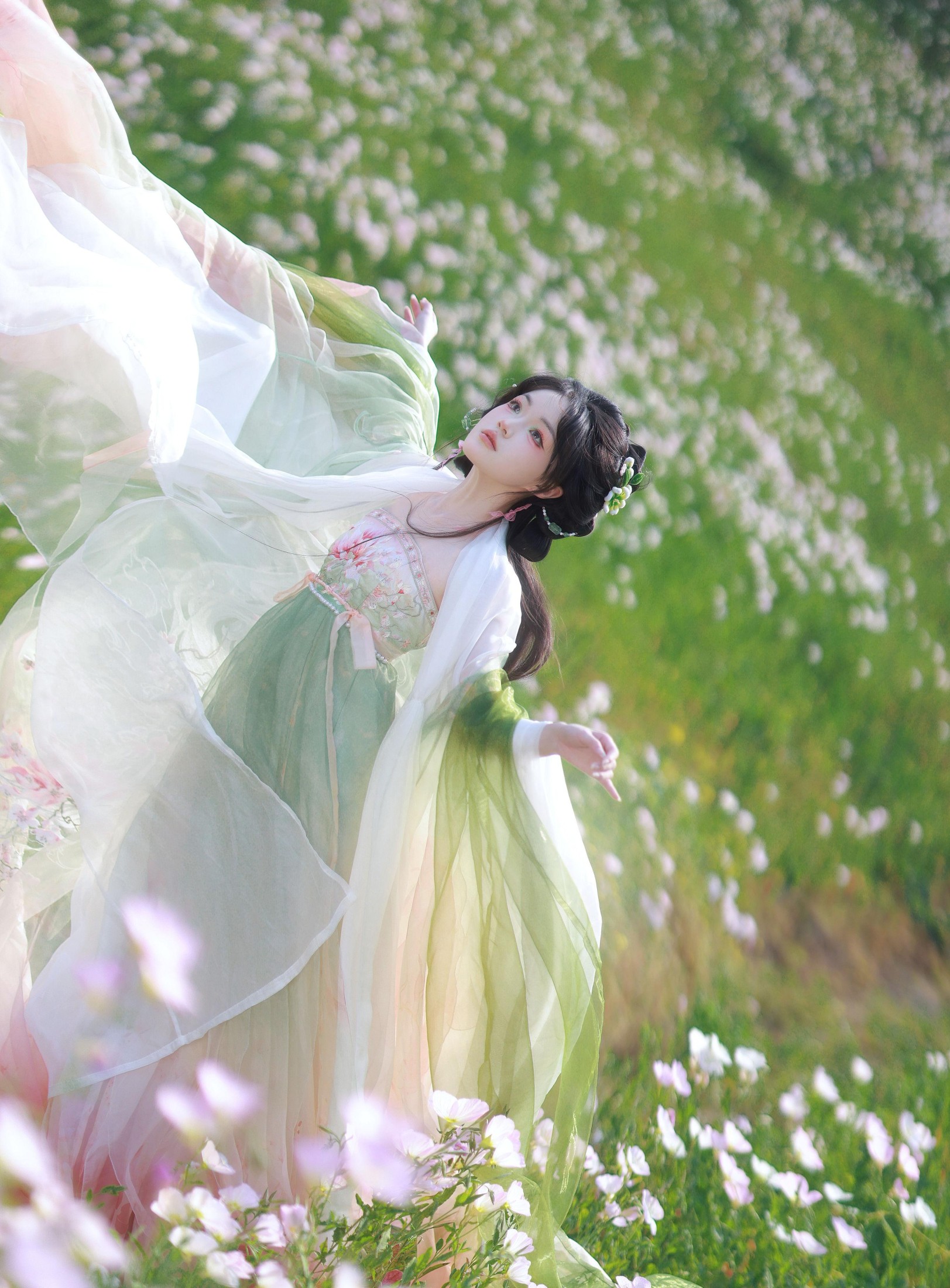 仙落 – 《月见草》[13P]