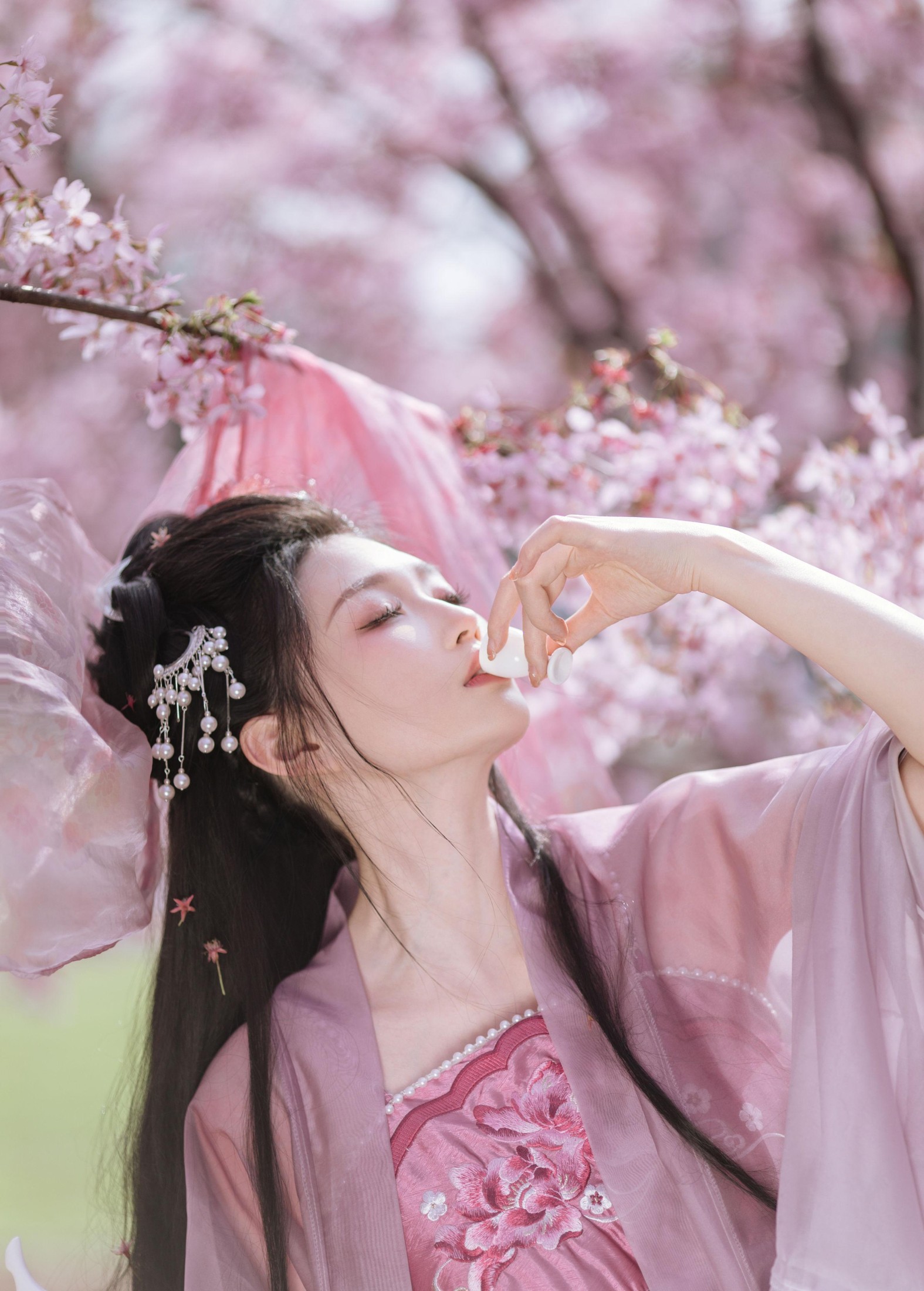 柳柳杨柳柳 – 《风起樱如雪》[18P]