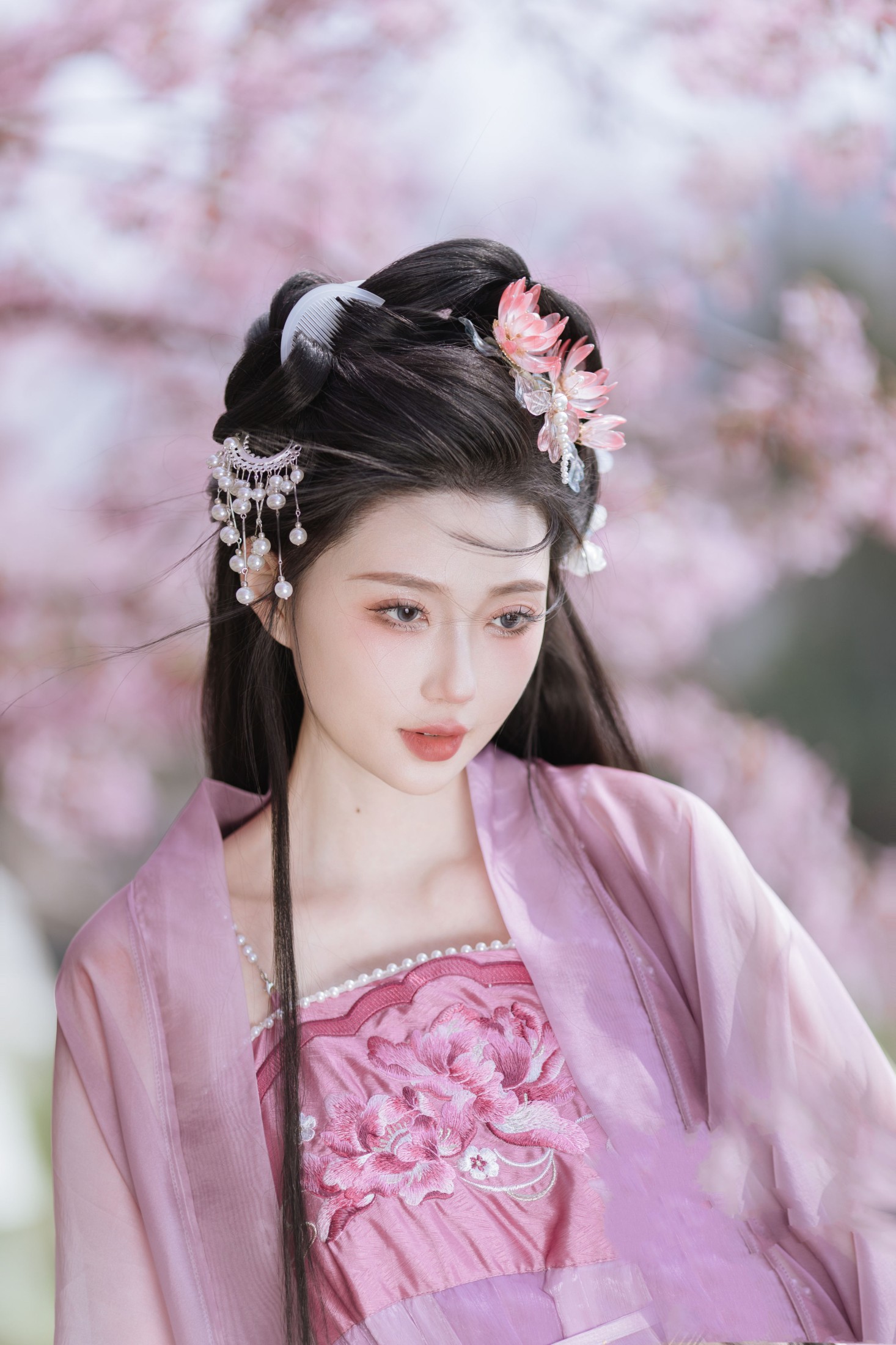 柳柳杨柳柳 – 《风起樱如雪》[18P]