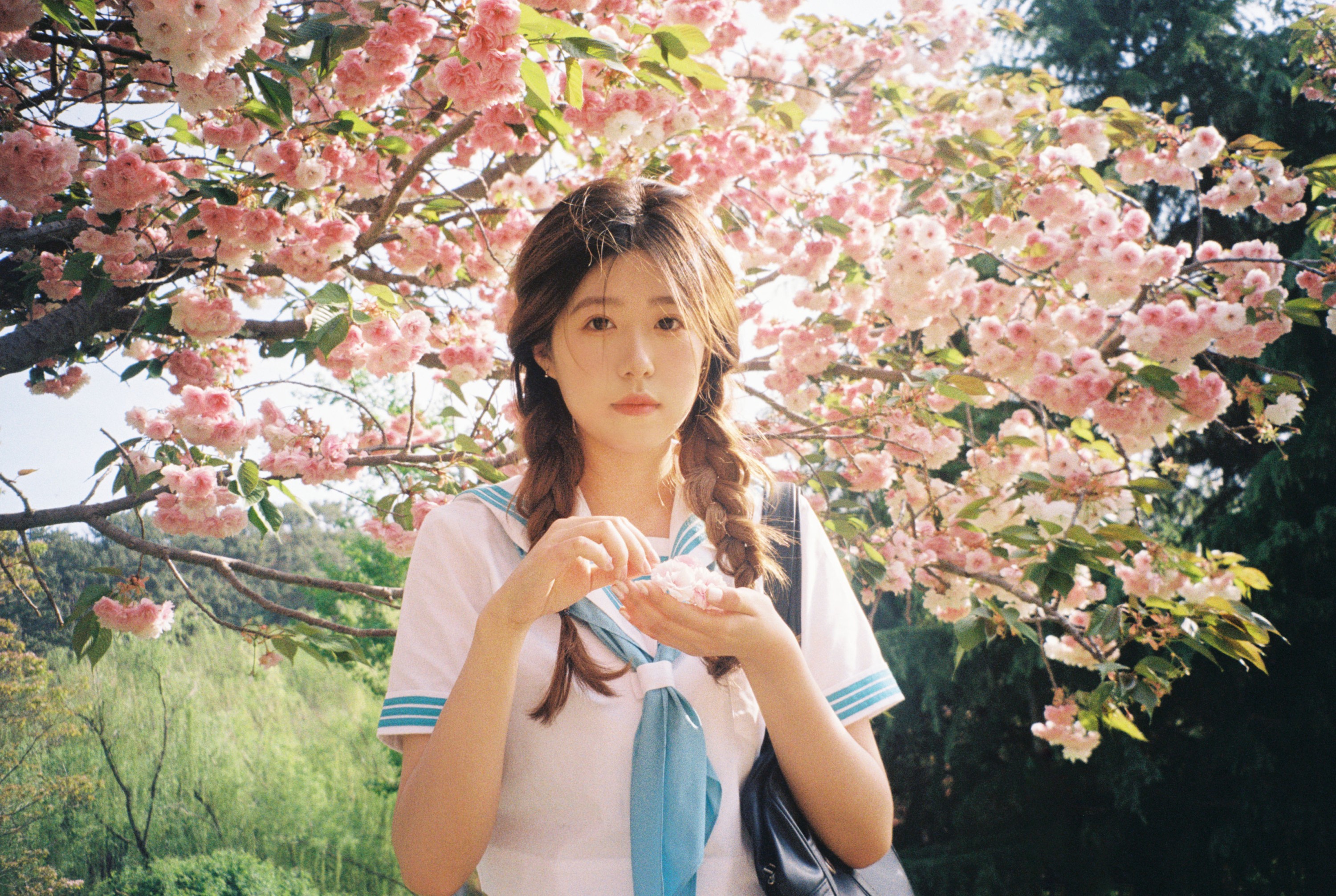 。 – 《樱花物语》[14P]